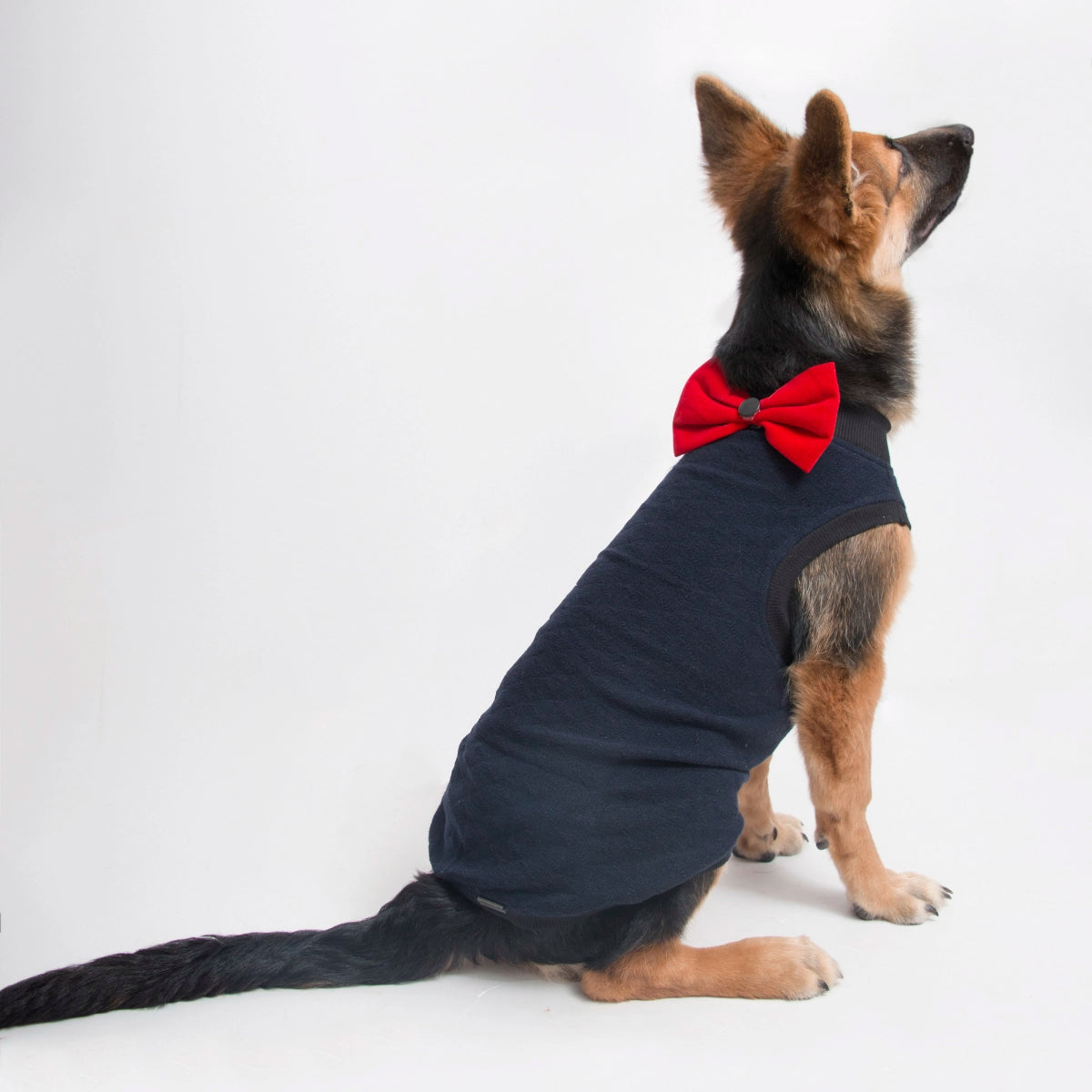 Navy Blue Cardigan(Dog)