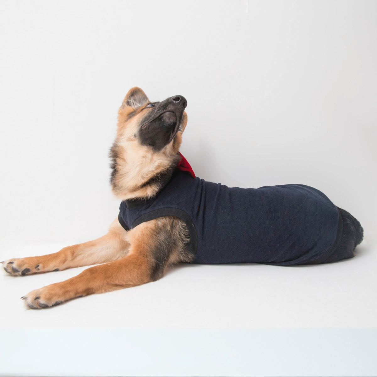 Navy Blue Cardigan(Dog)