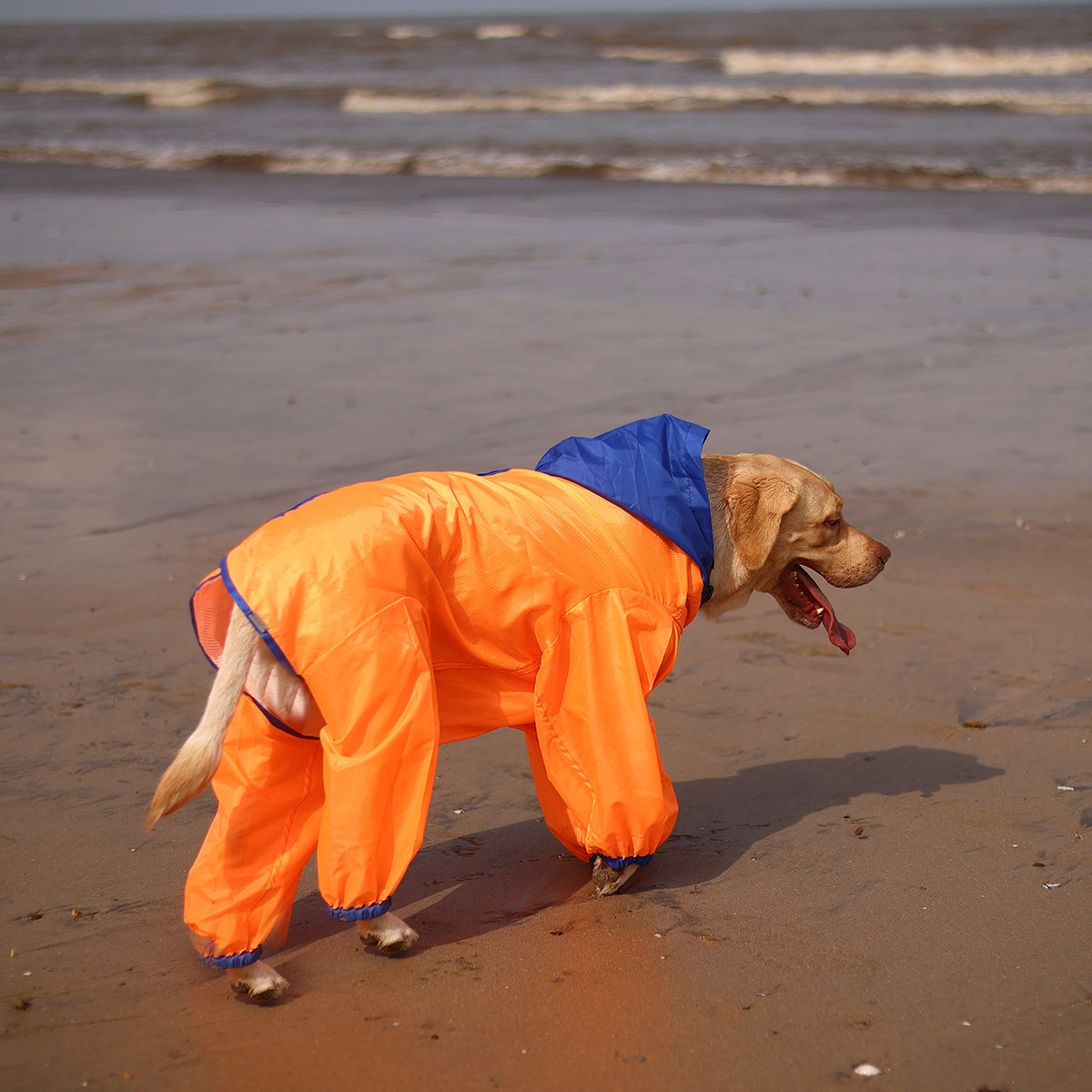 Neon Orange Rain-romper(Dog)