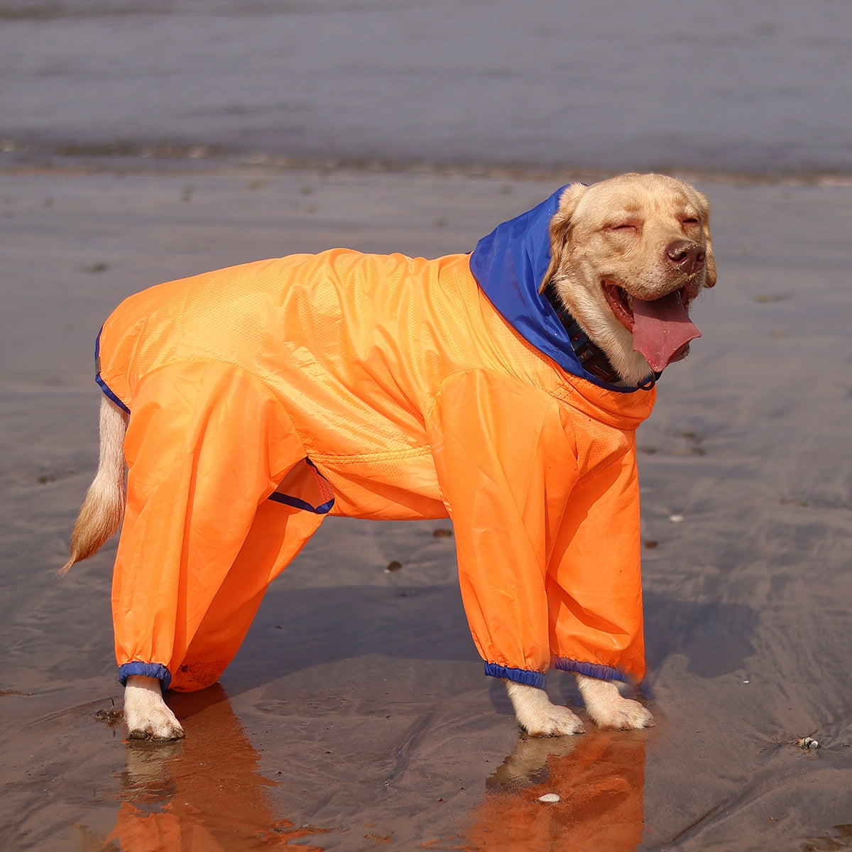Neon Orange Rain-romper(Dog)