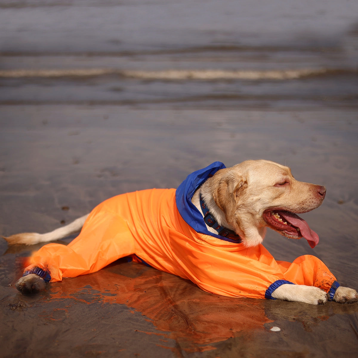Neon Orange Rain-romper(Dog)