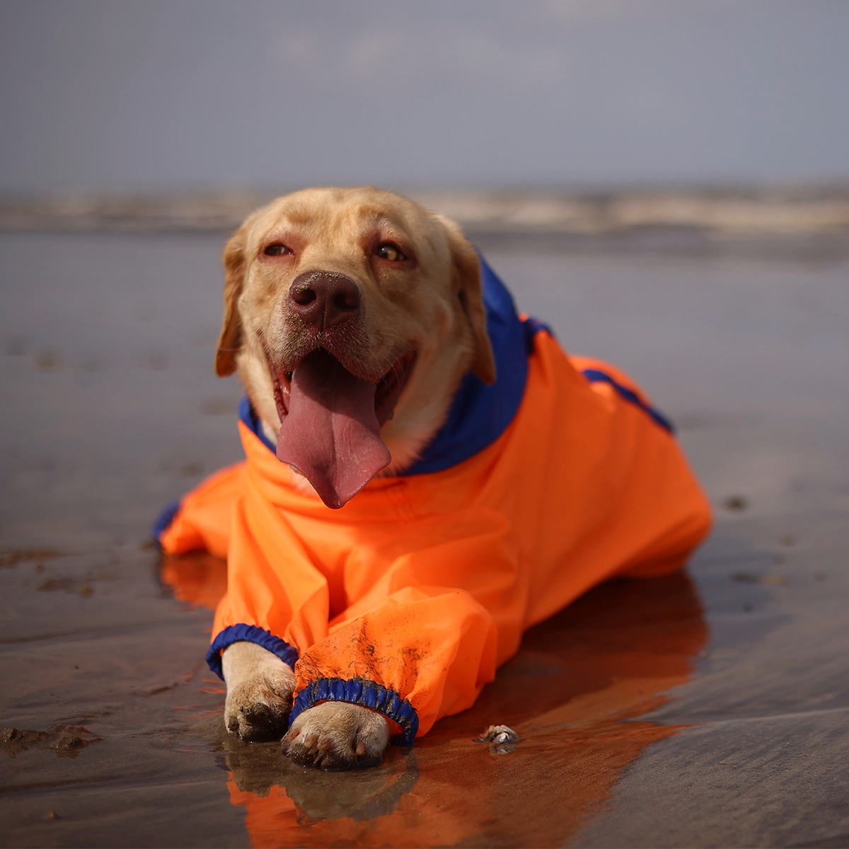 Neon Orange Rain-romper(Dog)