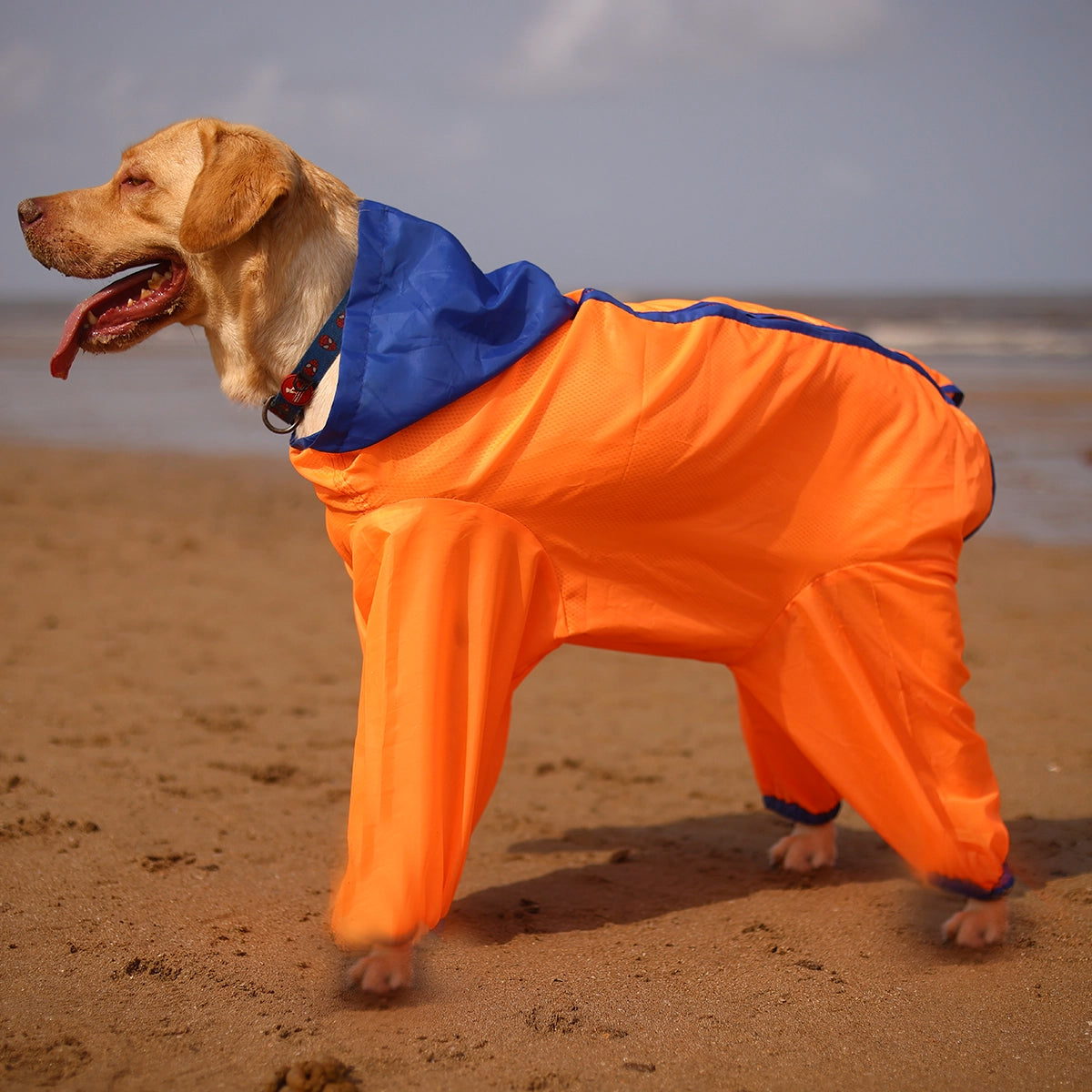 Neon Orange Rain-romper(Dog)
