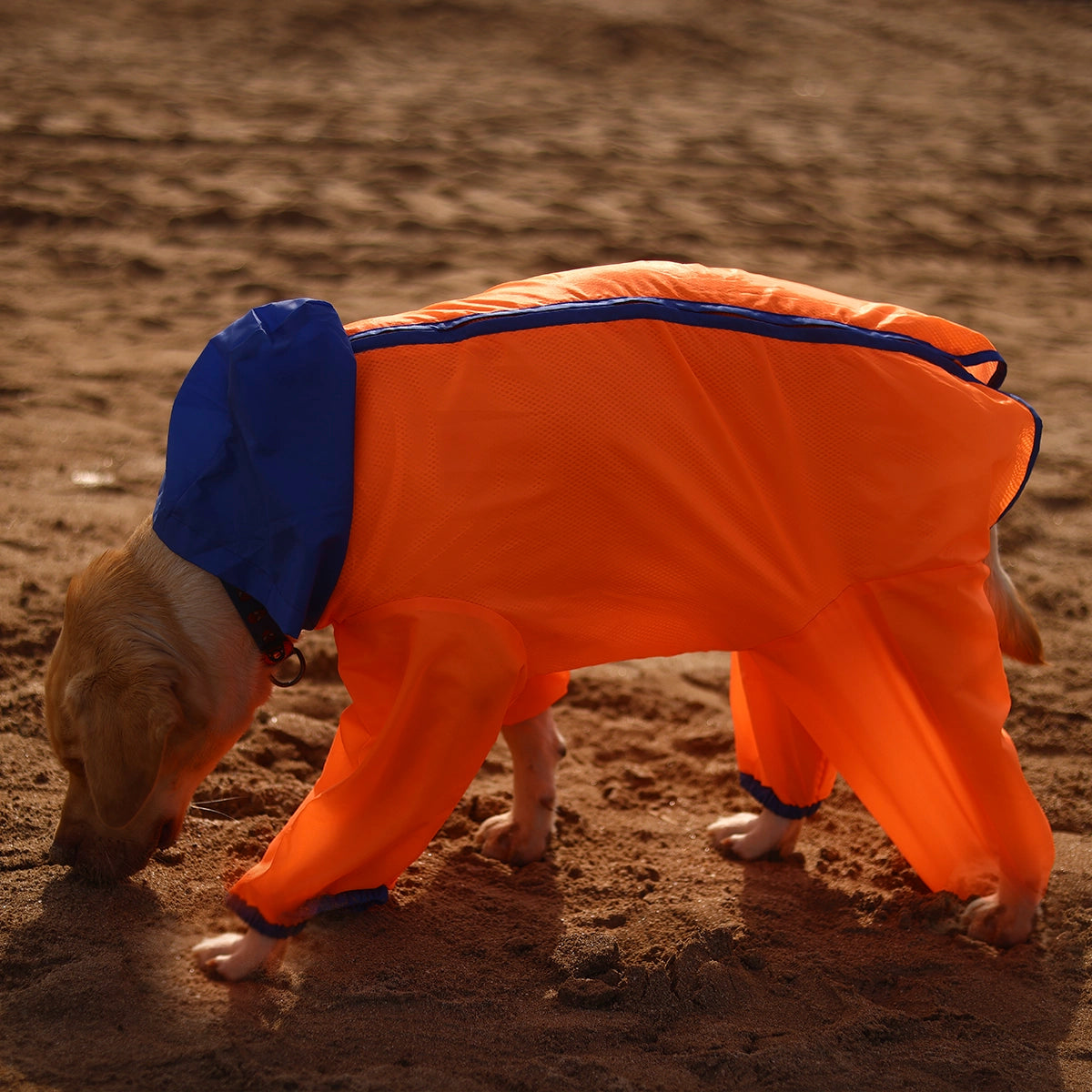 Neon Orange Rain-romper(Dog)