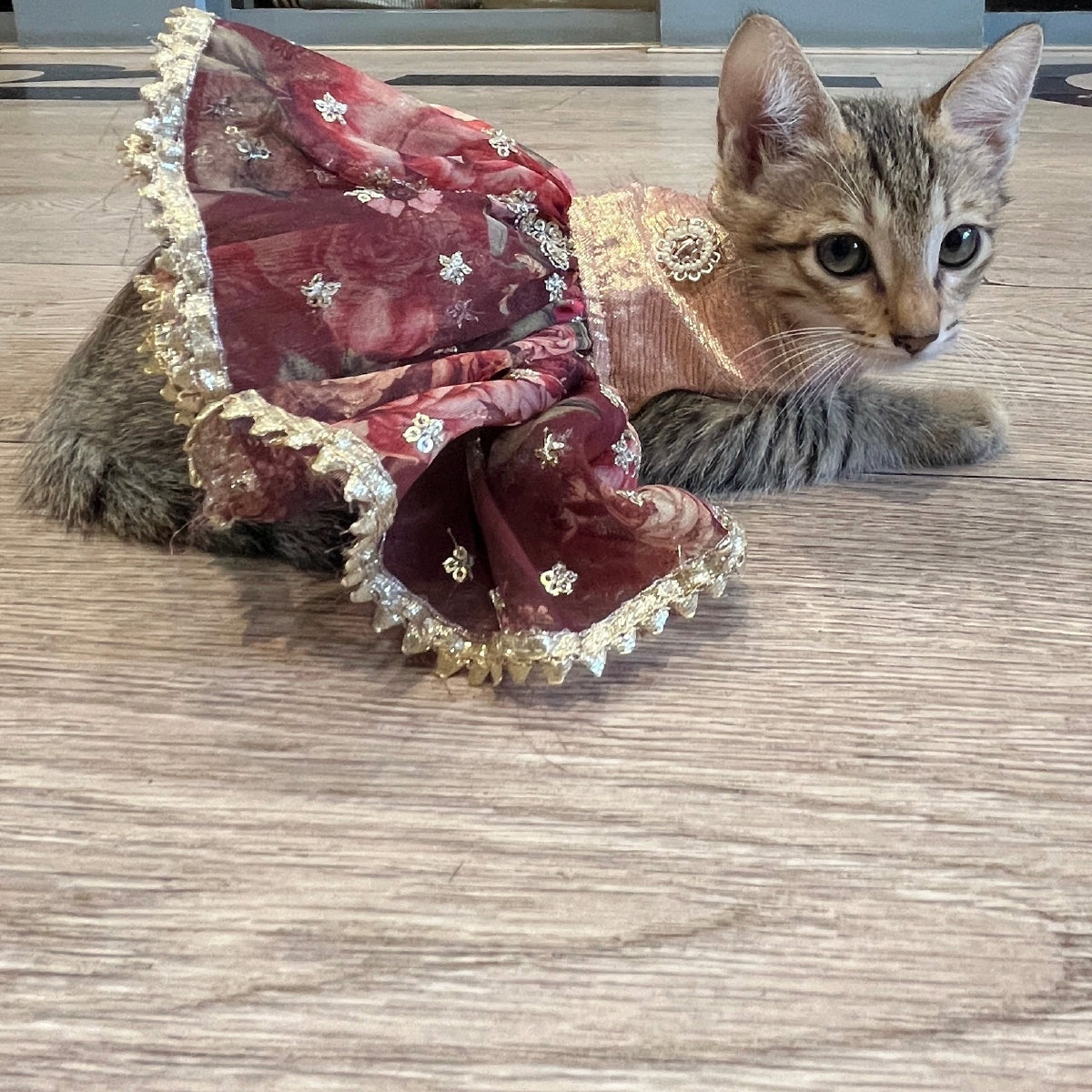 Organza Frills(Cat)