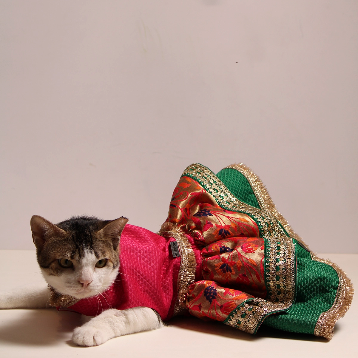 Paithani Lengha(Cat)