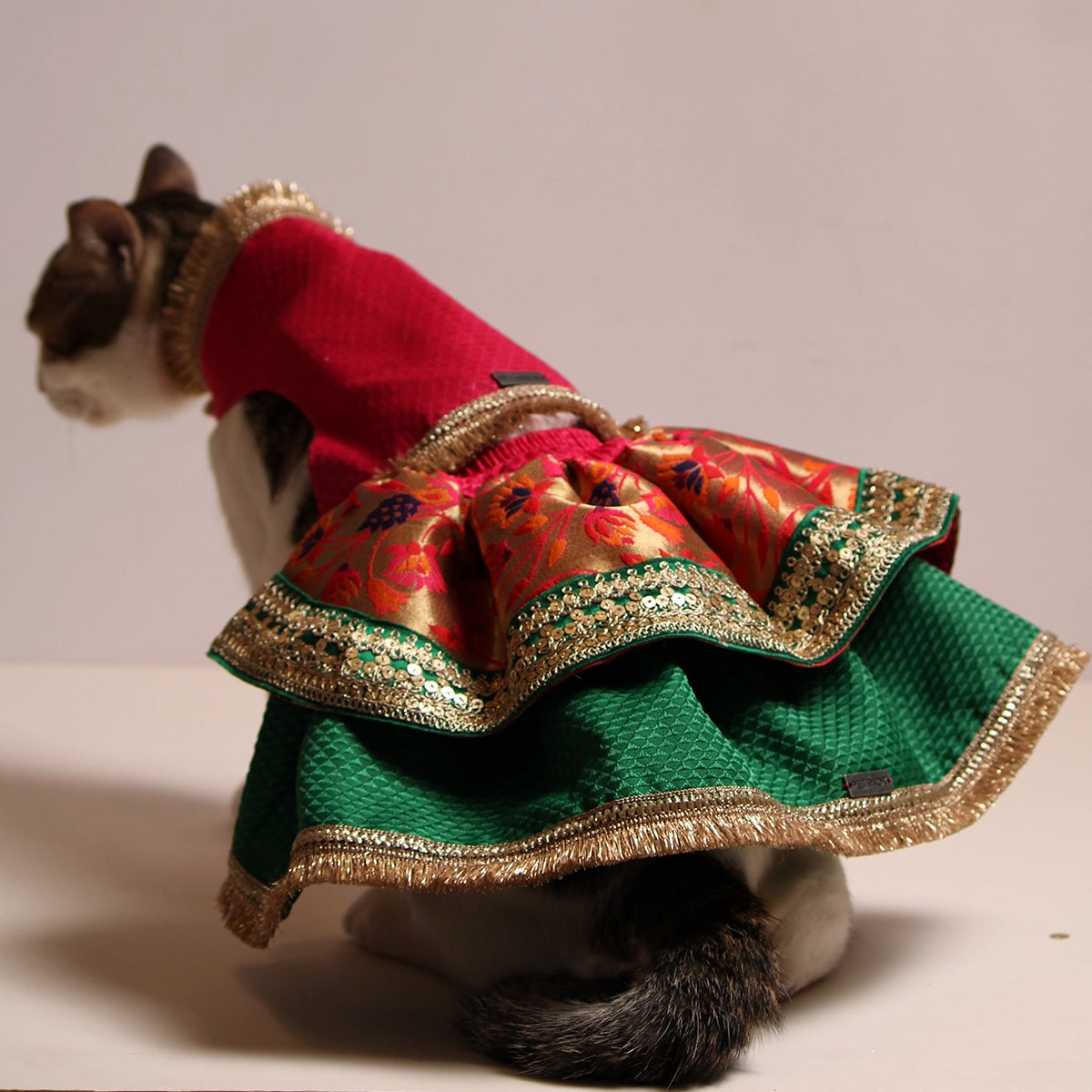 Paithani Lengha(Cat)