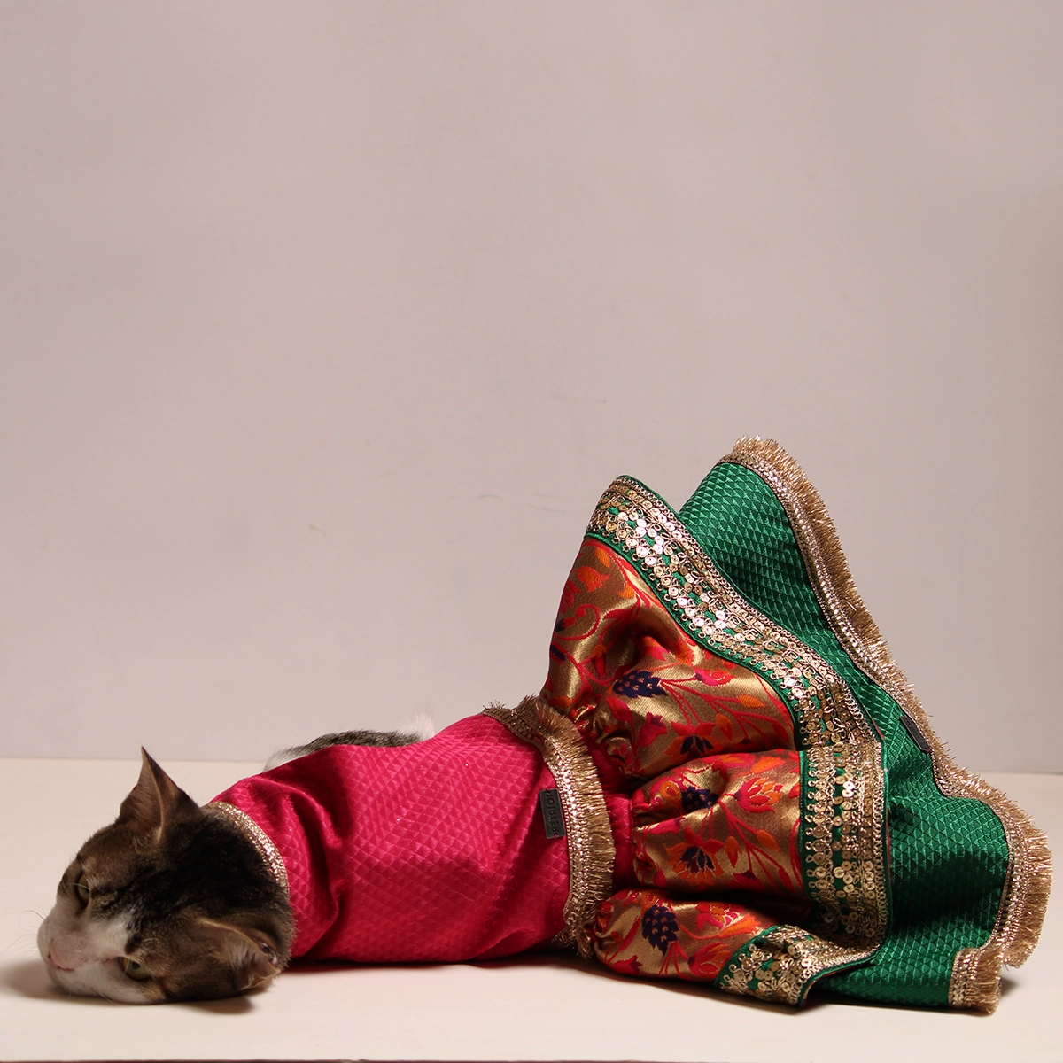 Paithani Lengha(Cat)