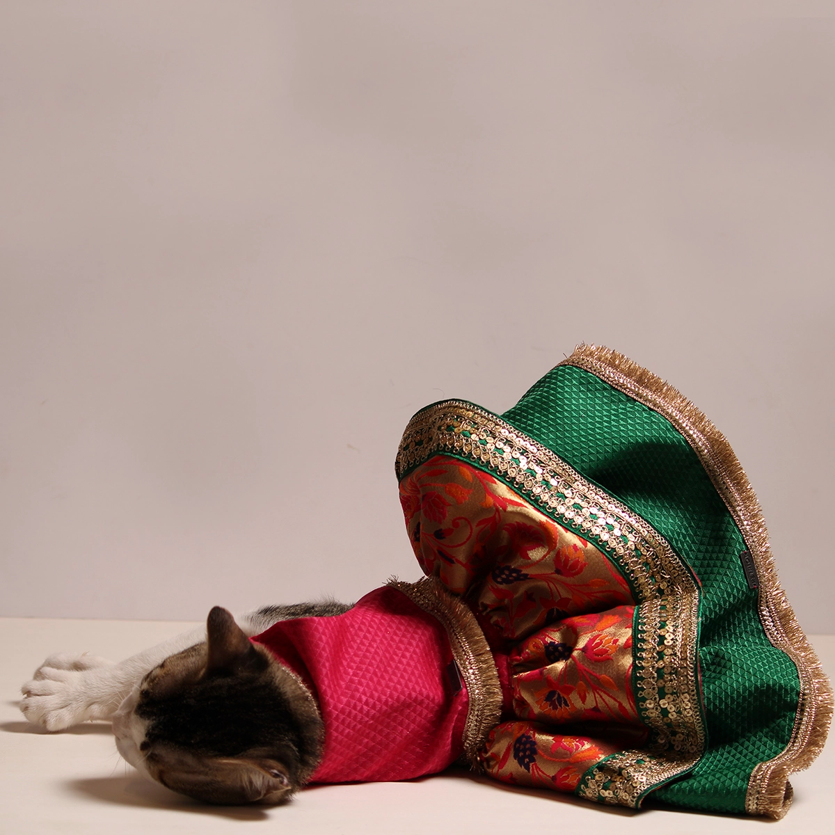 Paithani Lengha(Cat)