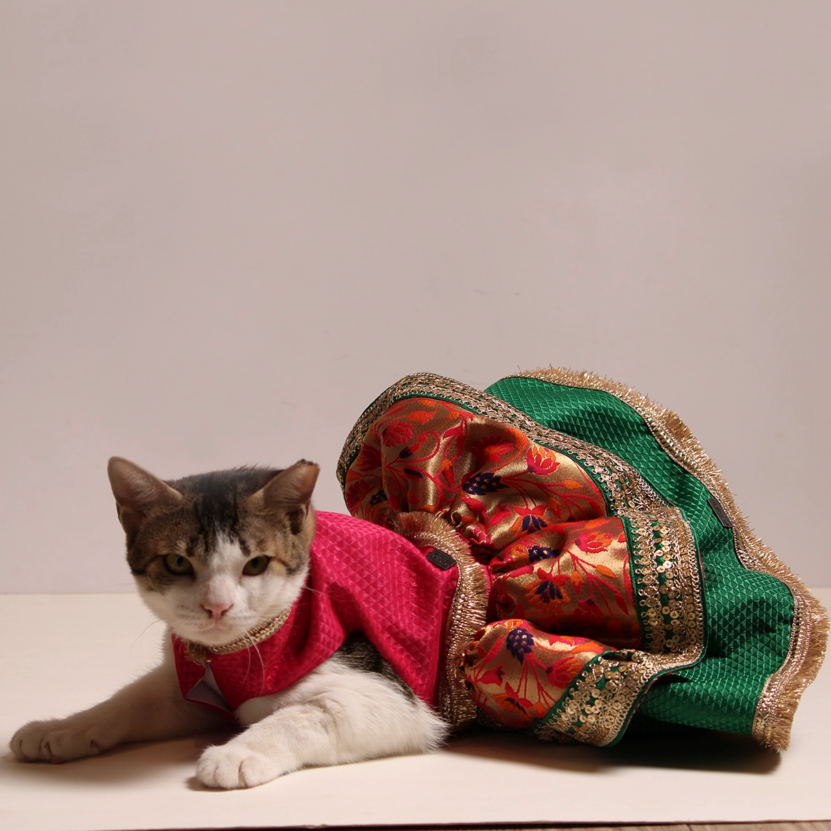 Paithani Lengha(Cat)