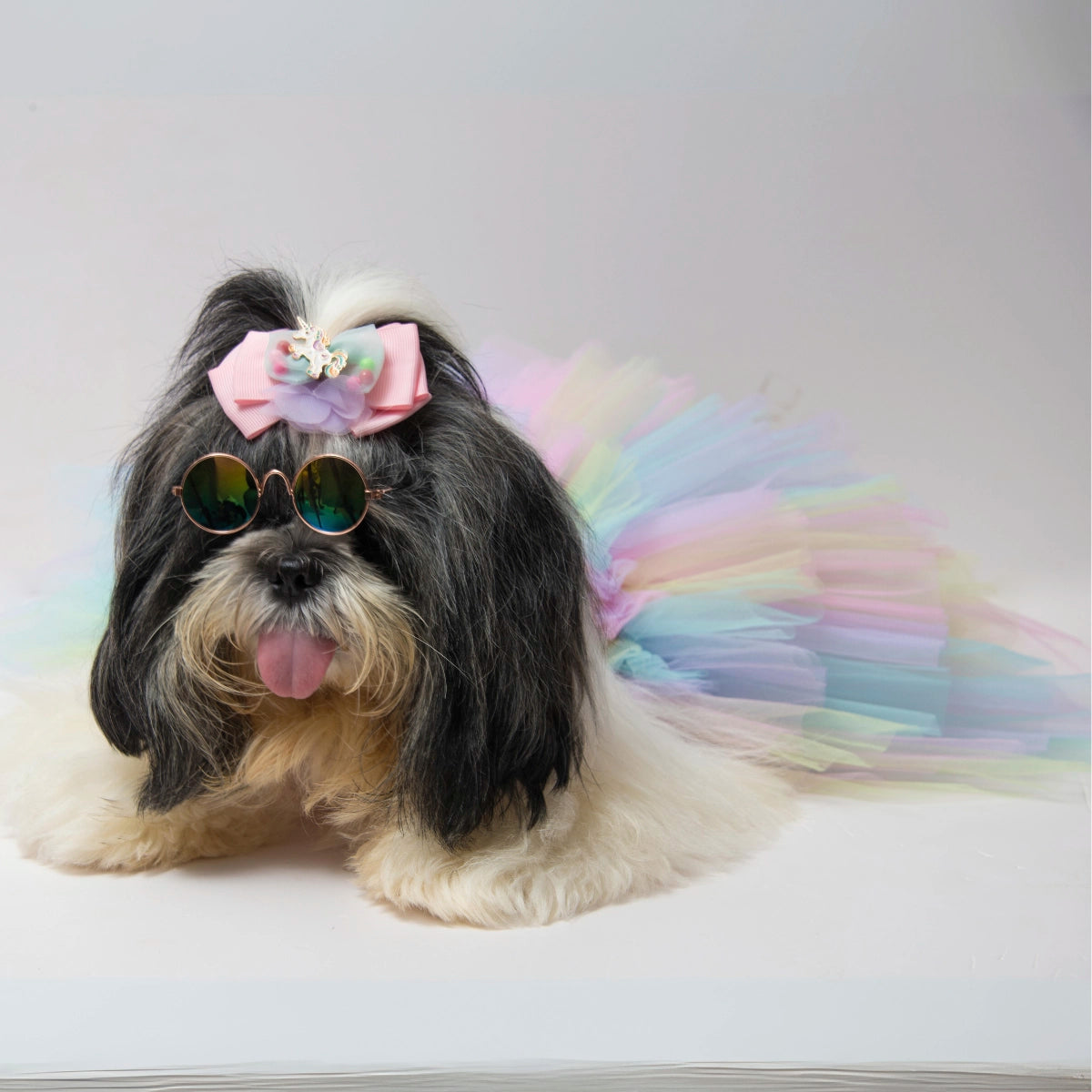 Pawsome Unicorn (Dog)