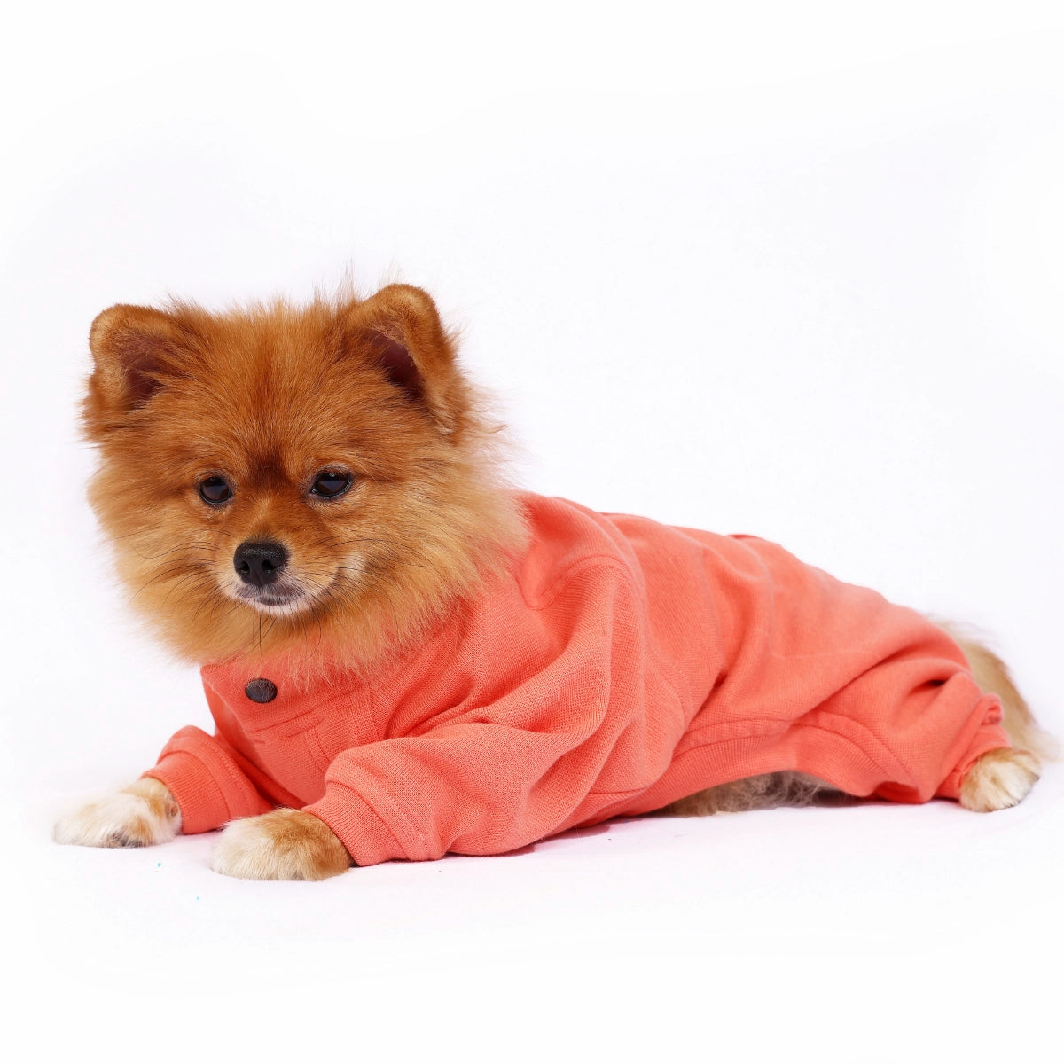 Peachy Peach Onesis(Dog)