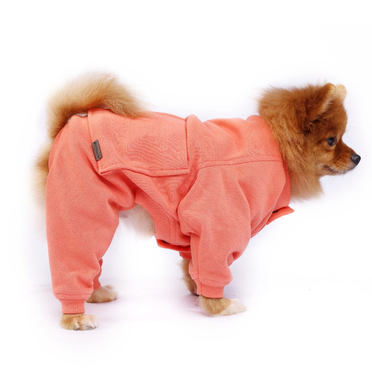 Peachy Peach Onesis(Dog)
