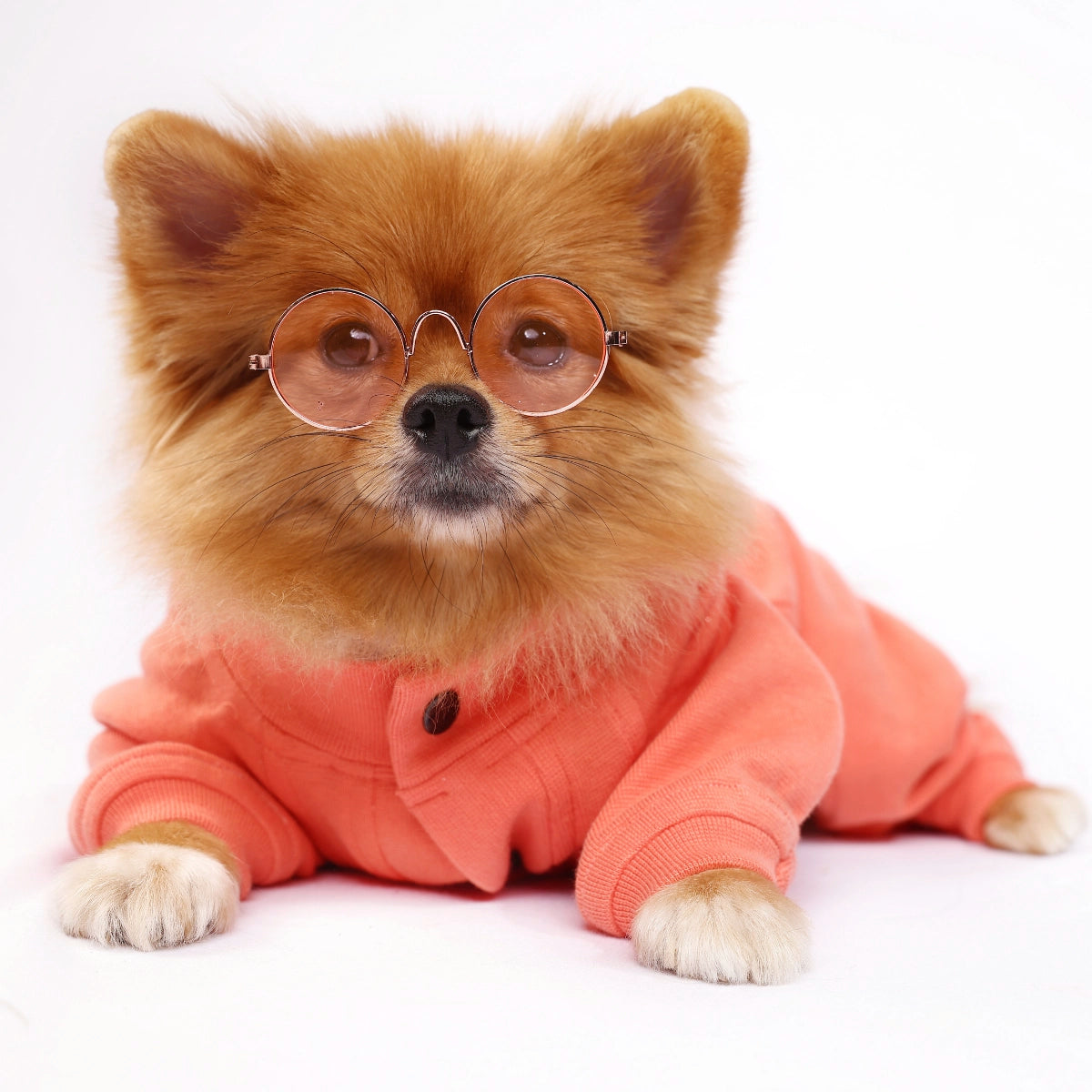 Peachy Peach Onesis(Dog)