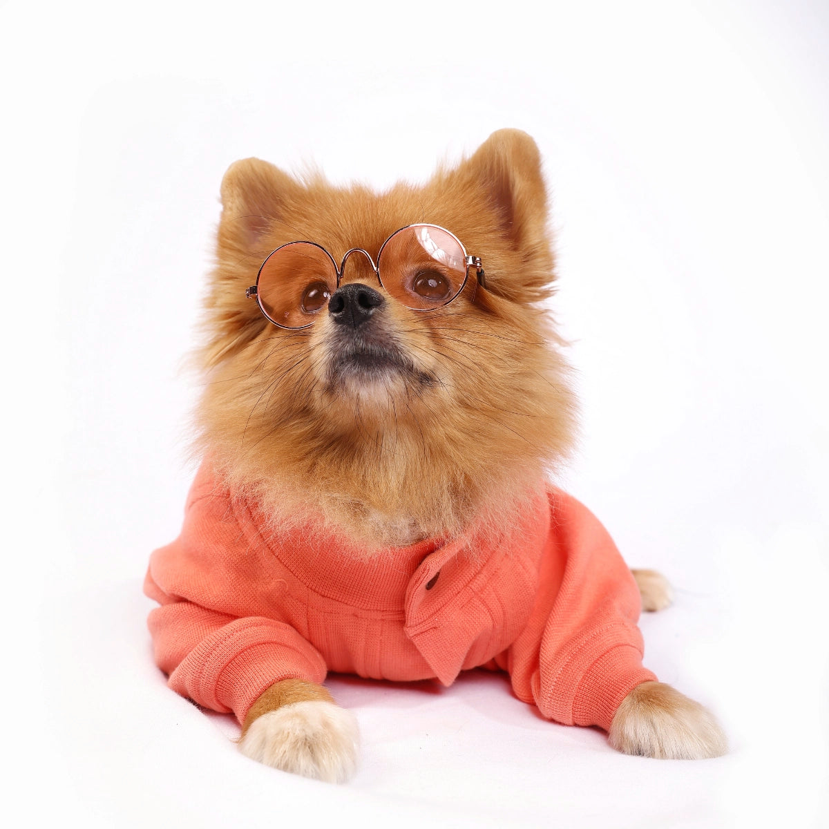 Peachy Peach Onesis(Dog)