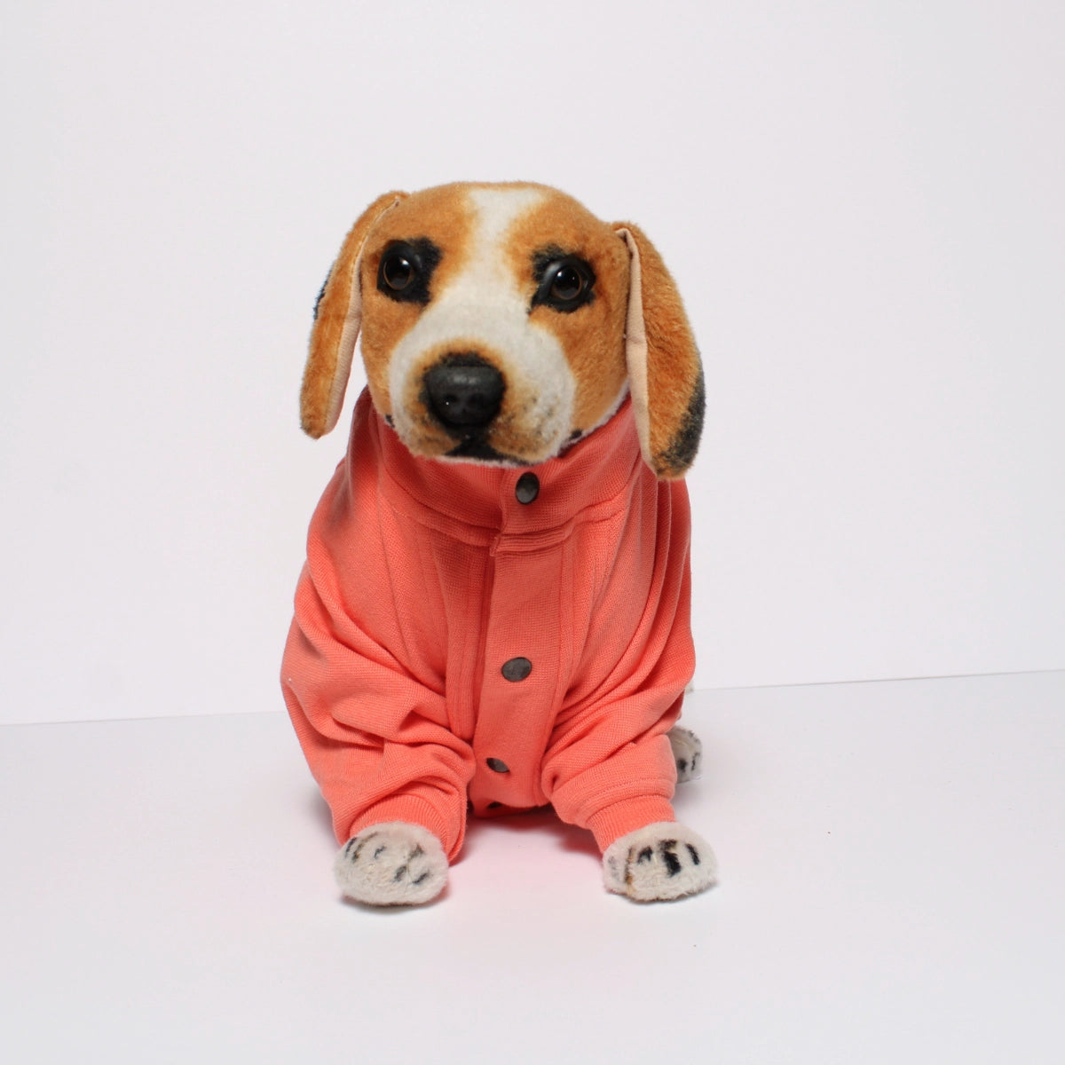 Peachy Peach Onesis(Dog)