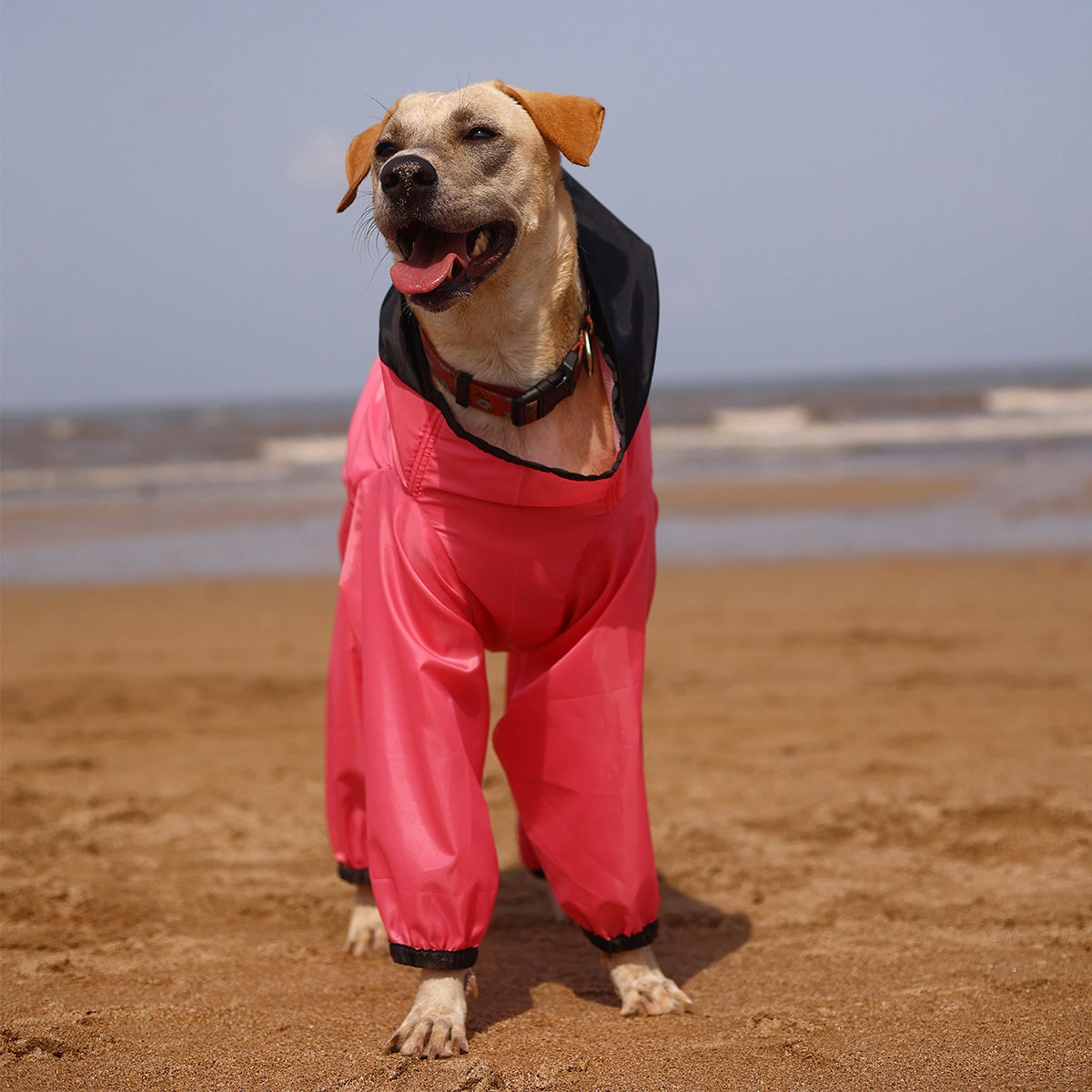 Barbie Pink Rainromper(Dog)
