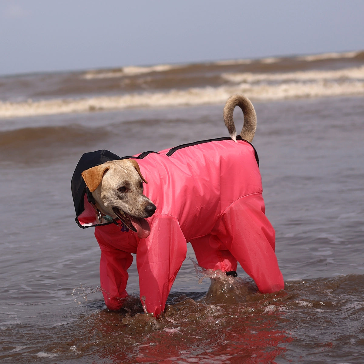 Barbie Pink Rainromper(Dog)