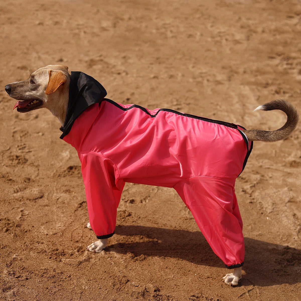 Barbie Pink Rainromper(Dog)