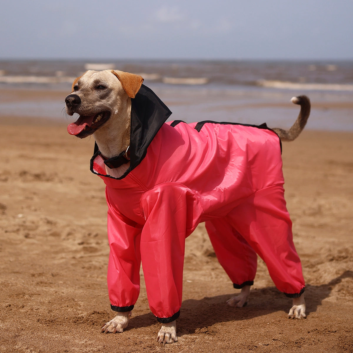 Barbie Pink Rainromper(Dog)