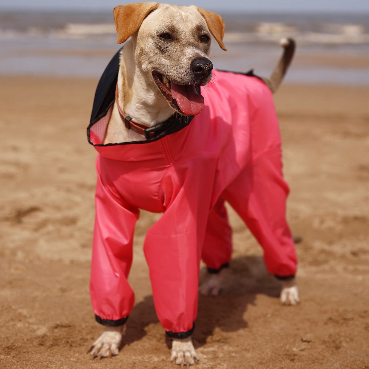 Barbie Pink Rainromper(Dog)