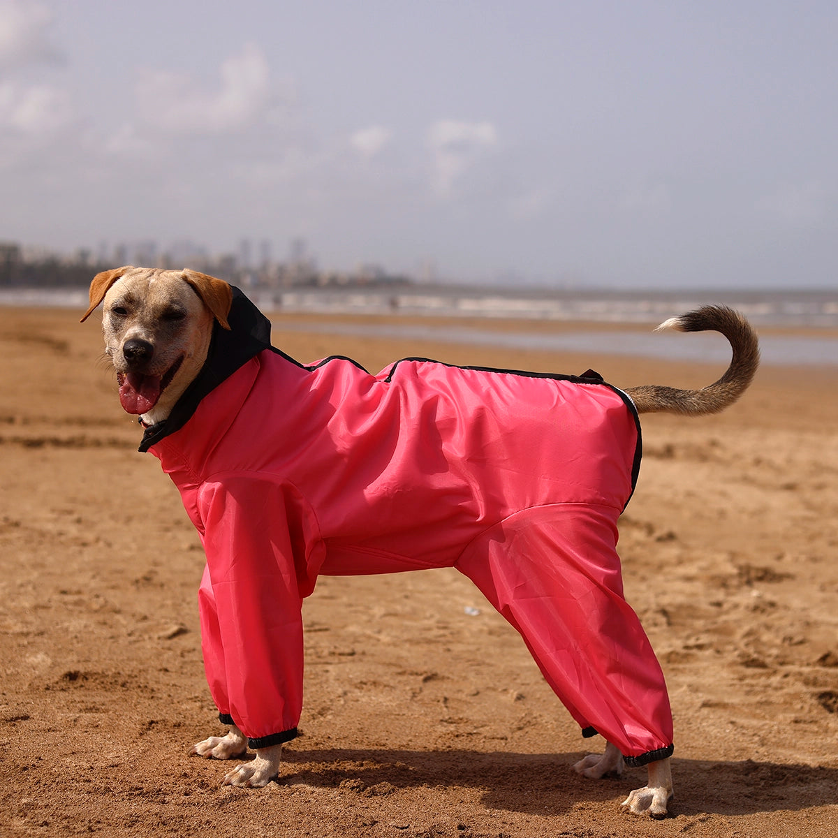 Barbie Pink Rainromper(Dog)