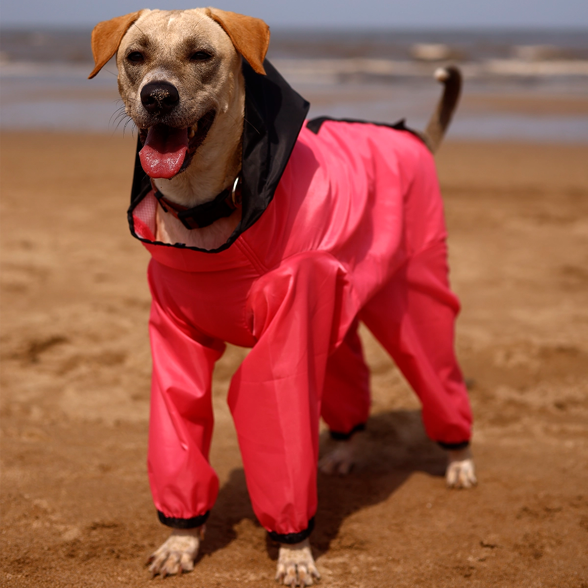Barbie Pink Rainromper(Dog)