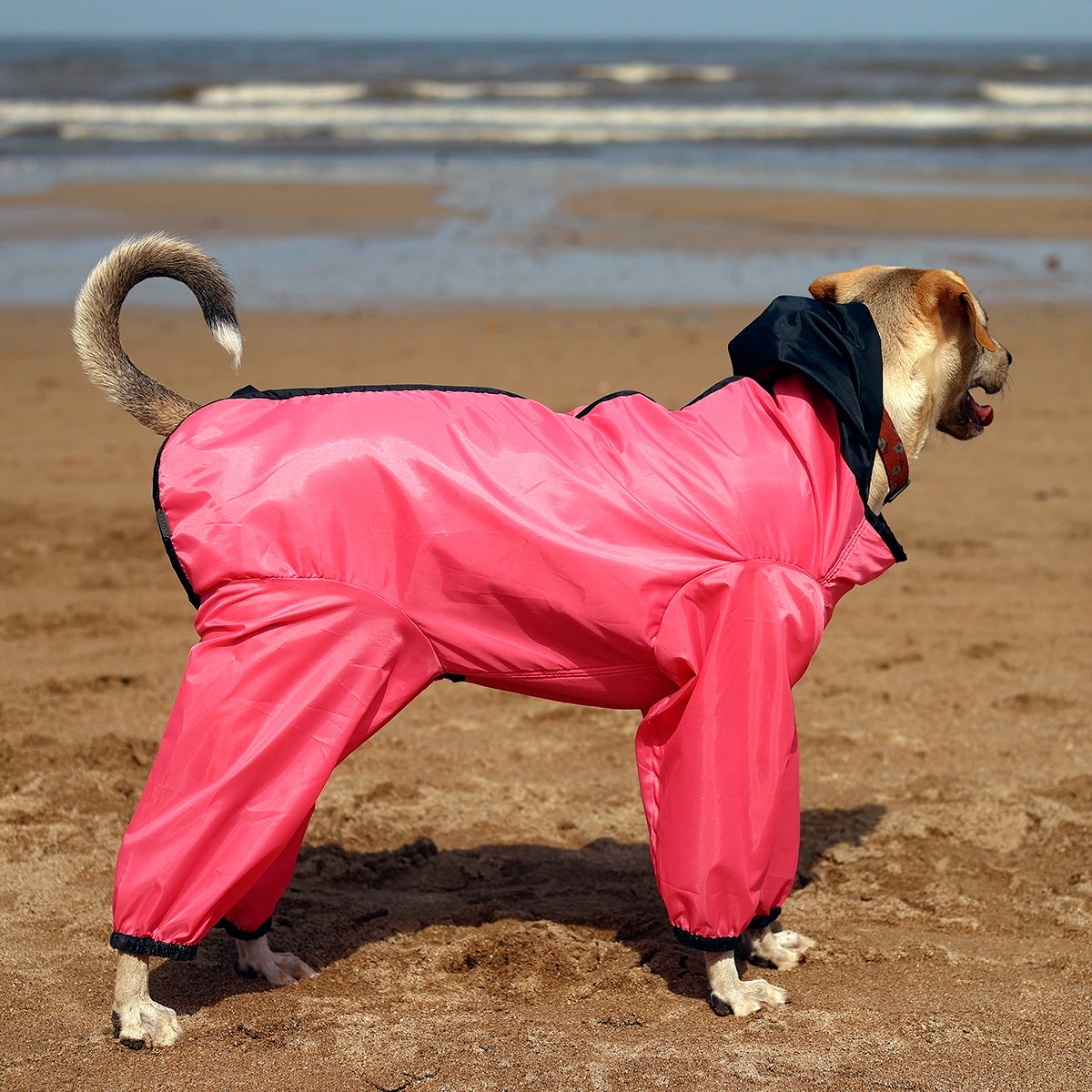 Barbie Pink Rainromper(Dog)