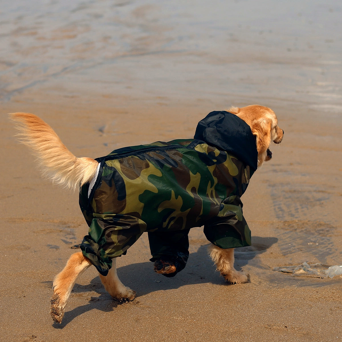 Cameoflauger Rainromper(Dog)