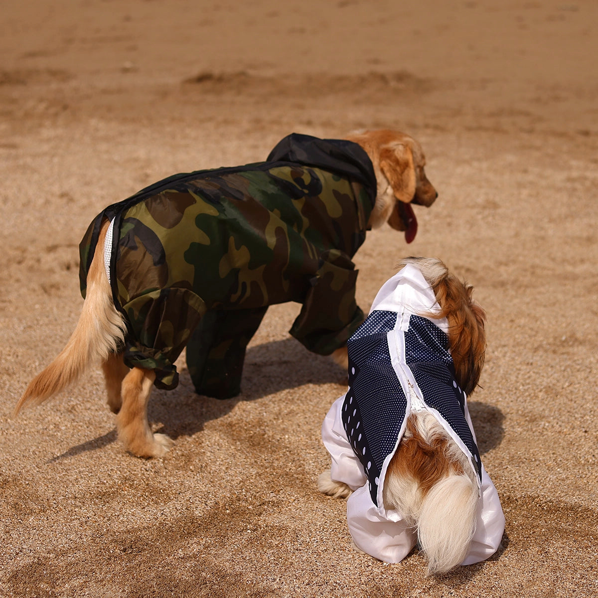 Cameoflauger Rainromper(Dog)