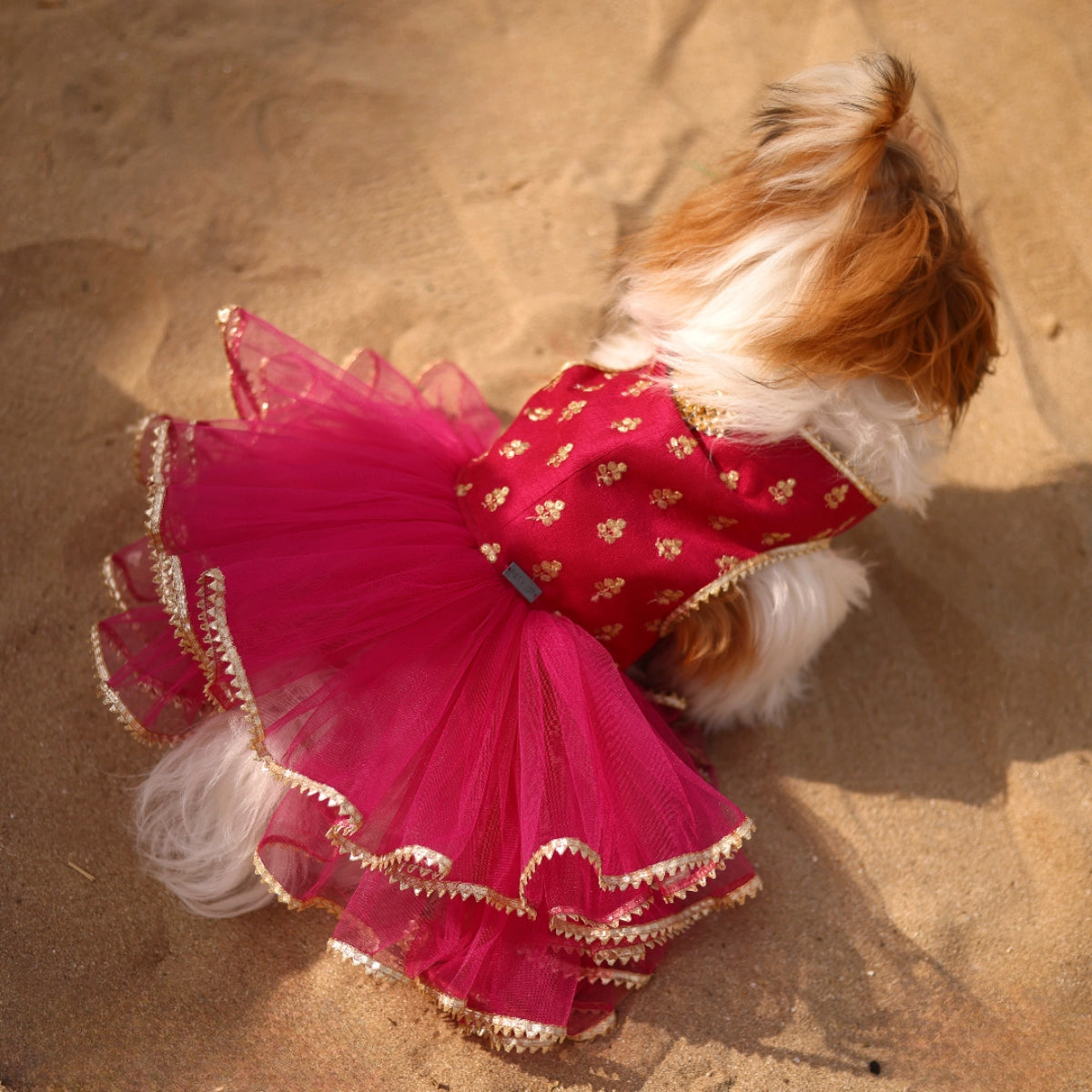 Pink Gotta Frills(Dog)