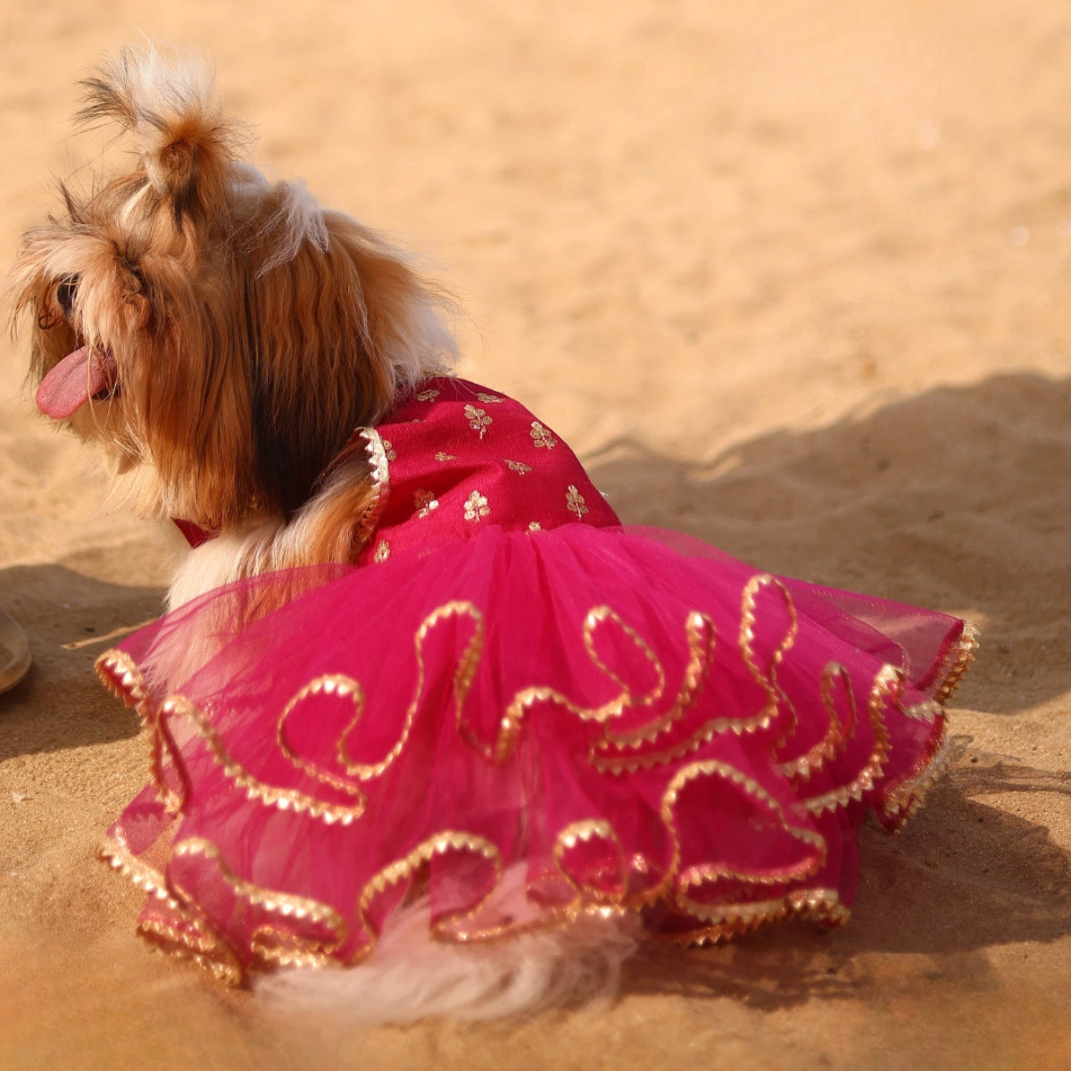 Pink Gotta Frills(Dog)