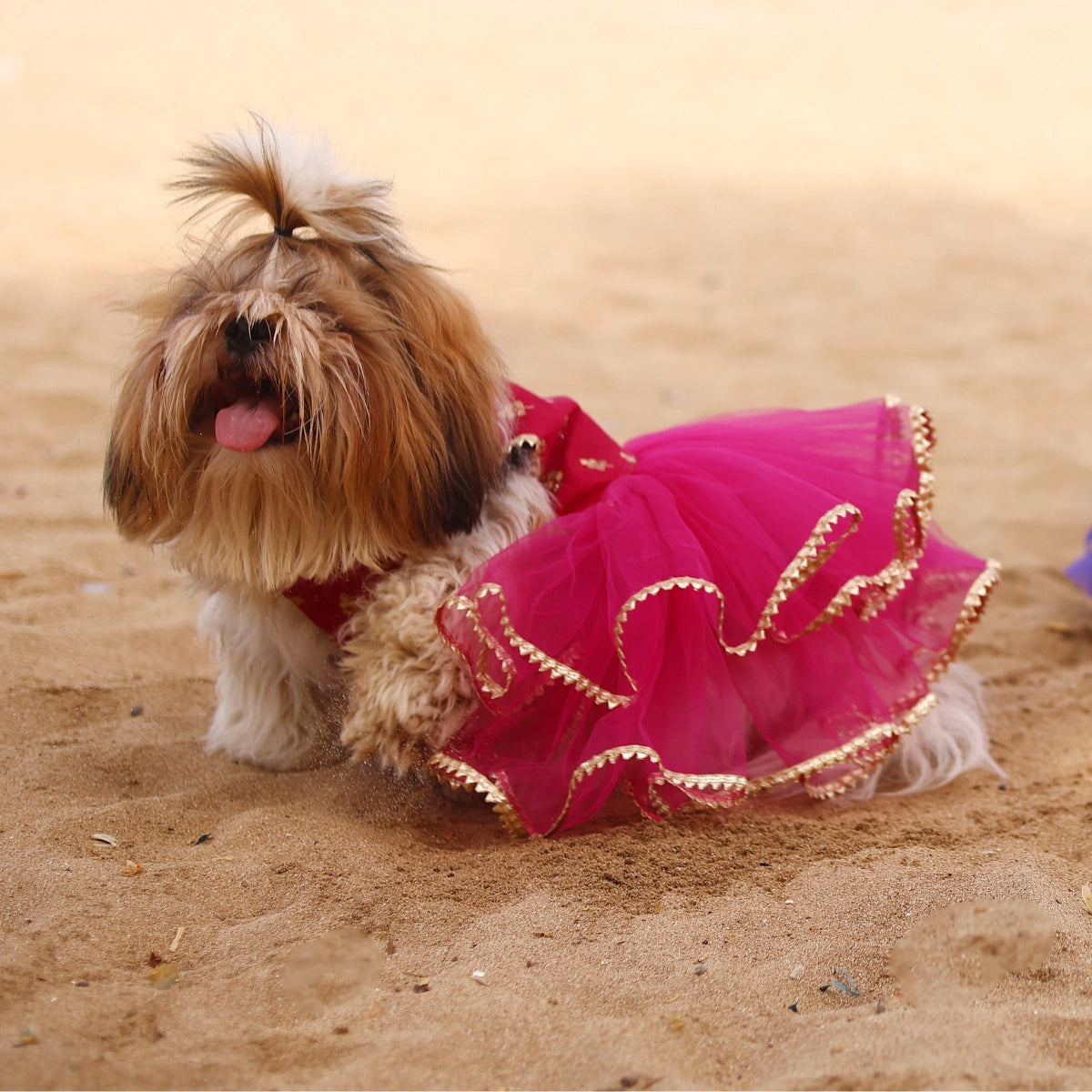 Pink Gotta Frills(Dog)
