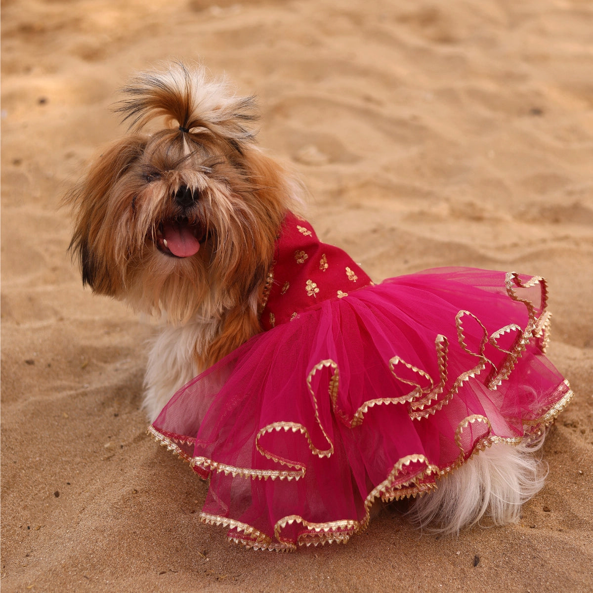 Pink Gotta Frills(Dog)