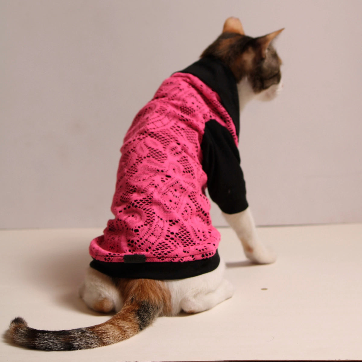 Pink Lace Tee (Cat)