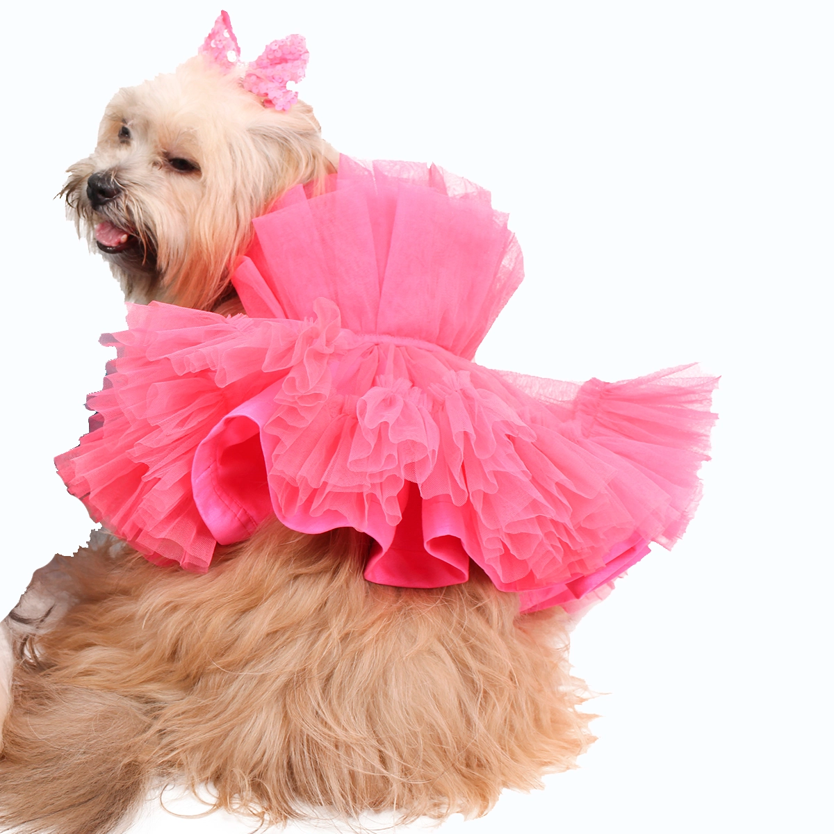 Pink Wrapper (Dog)