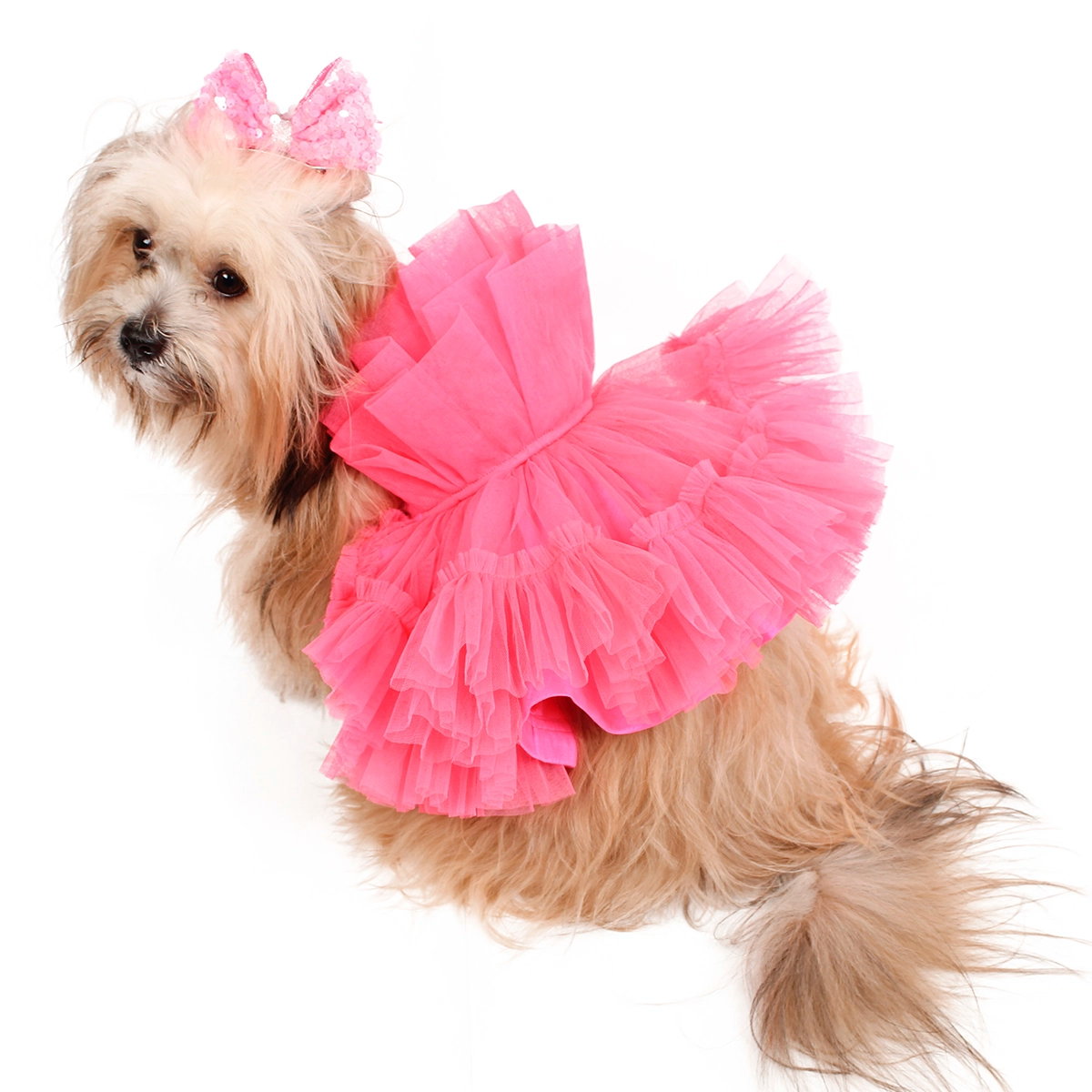 Pink Wrapper (Dog)