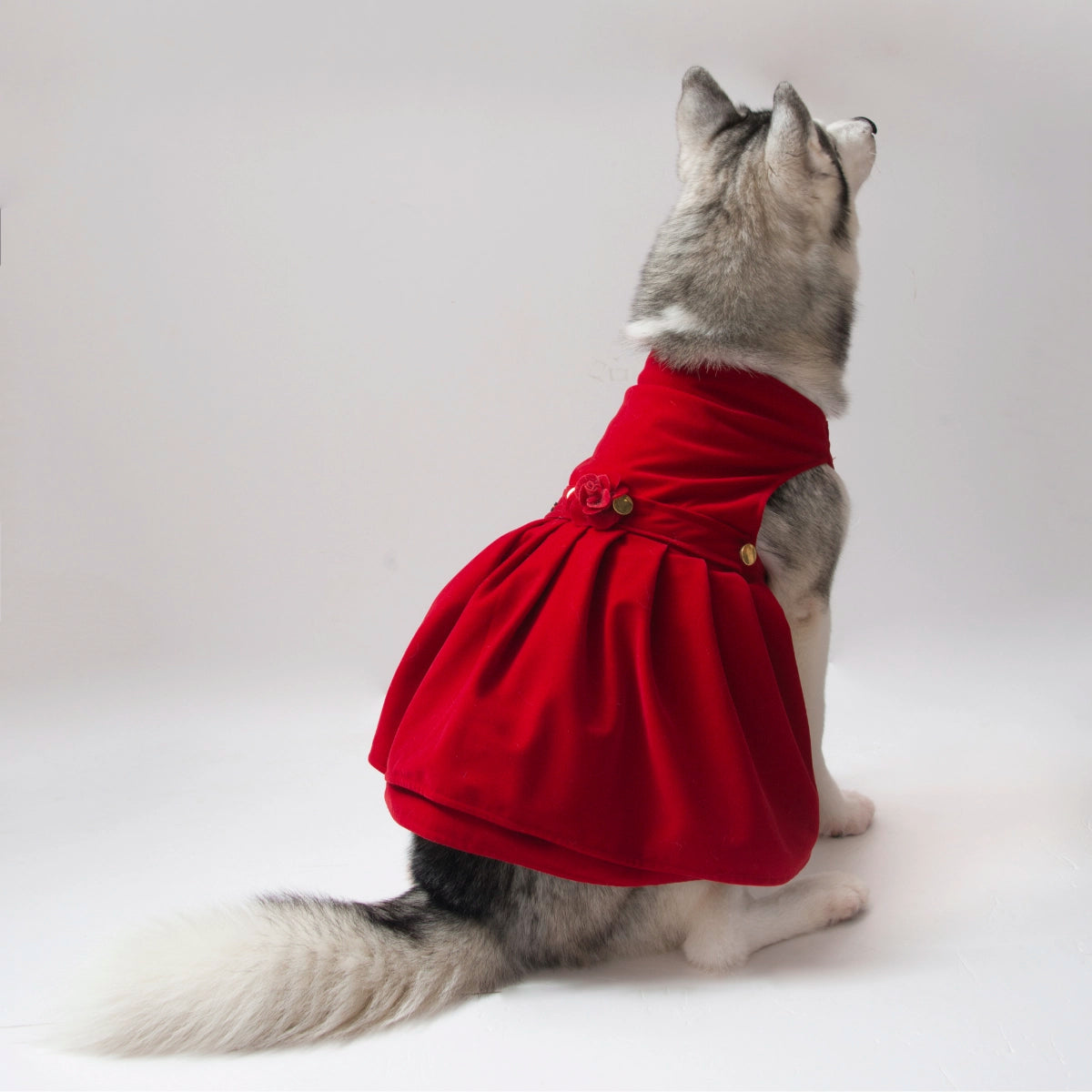 Red Velvet Cheese Cake (Dog)