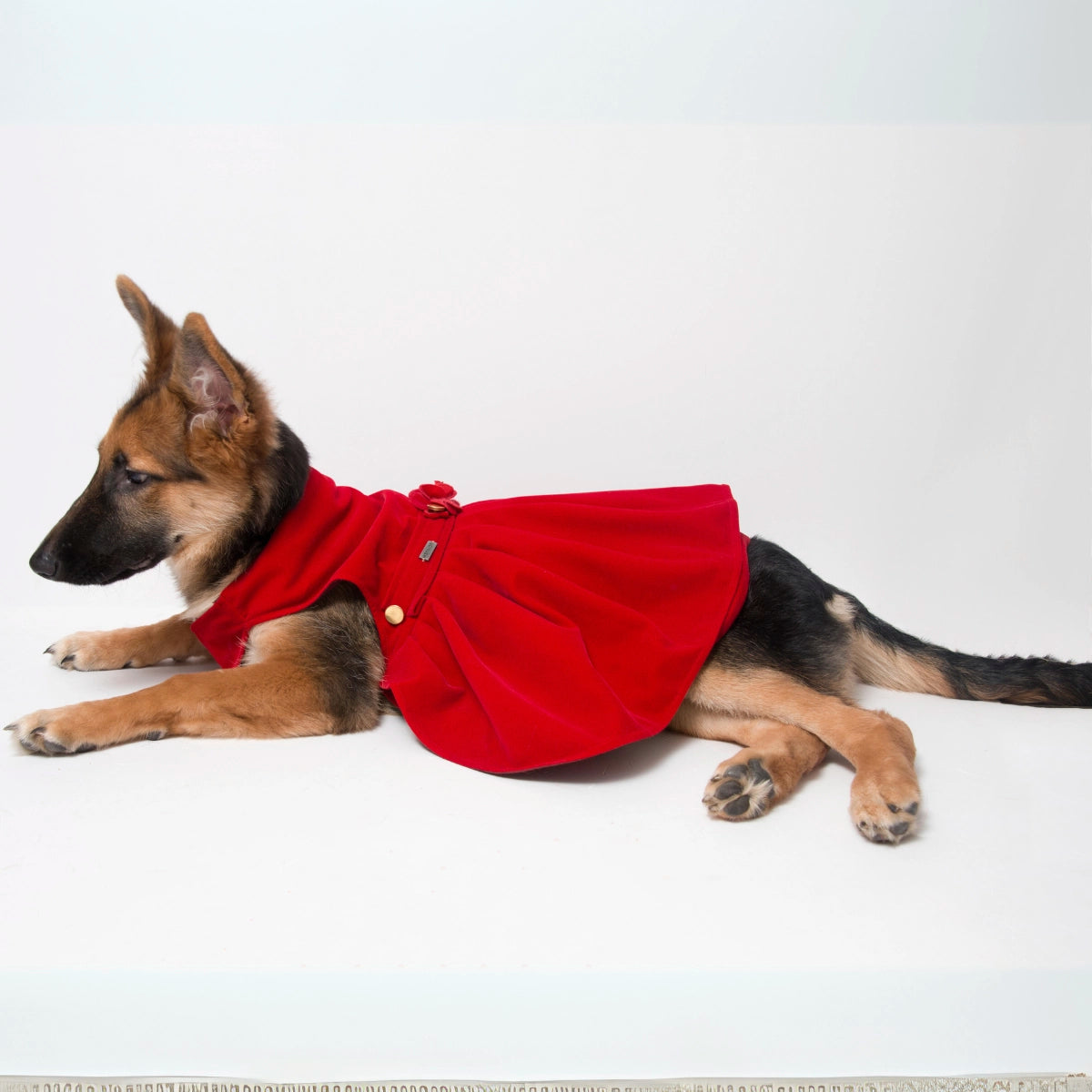 Red Velvet Cheese Cake (Dog)