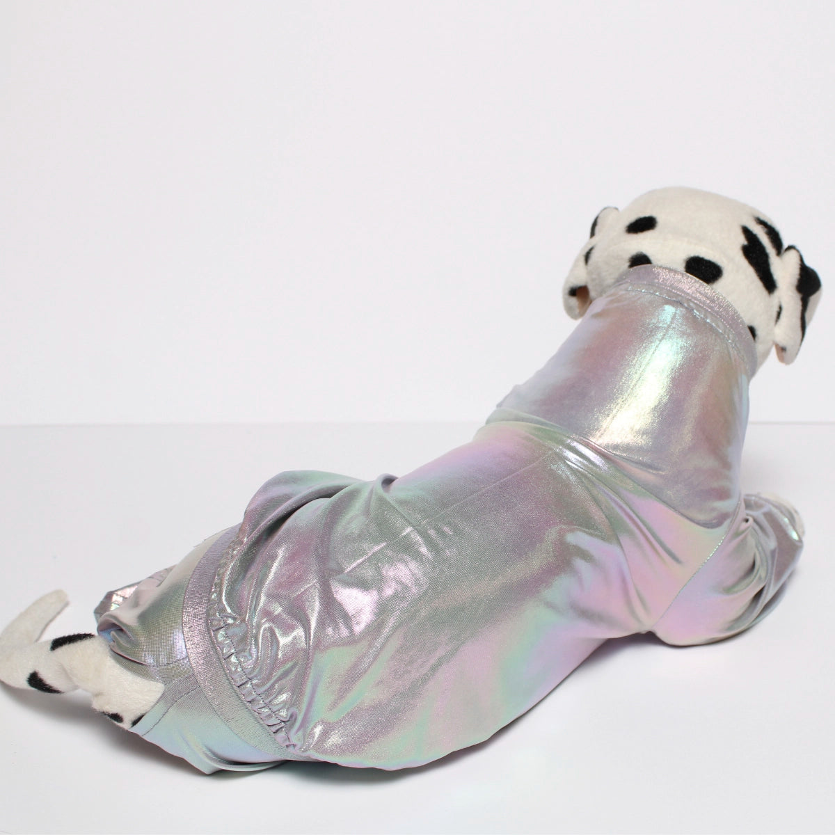 Silver Euphoria (Dog)