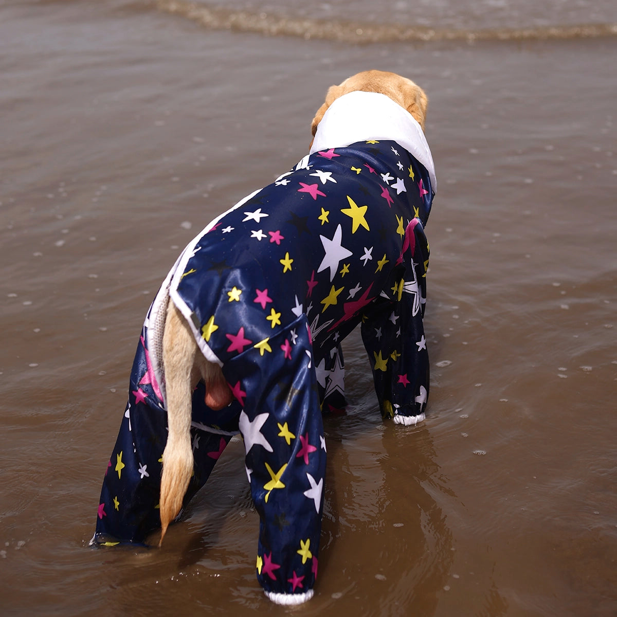 Multistar Rain-romper(Dog)