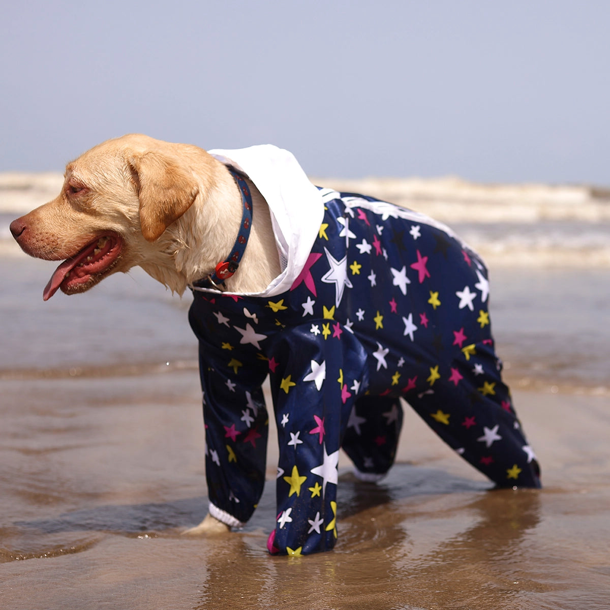 Multistar Rain-romper(Dog)