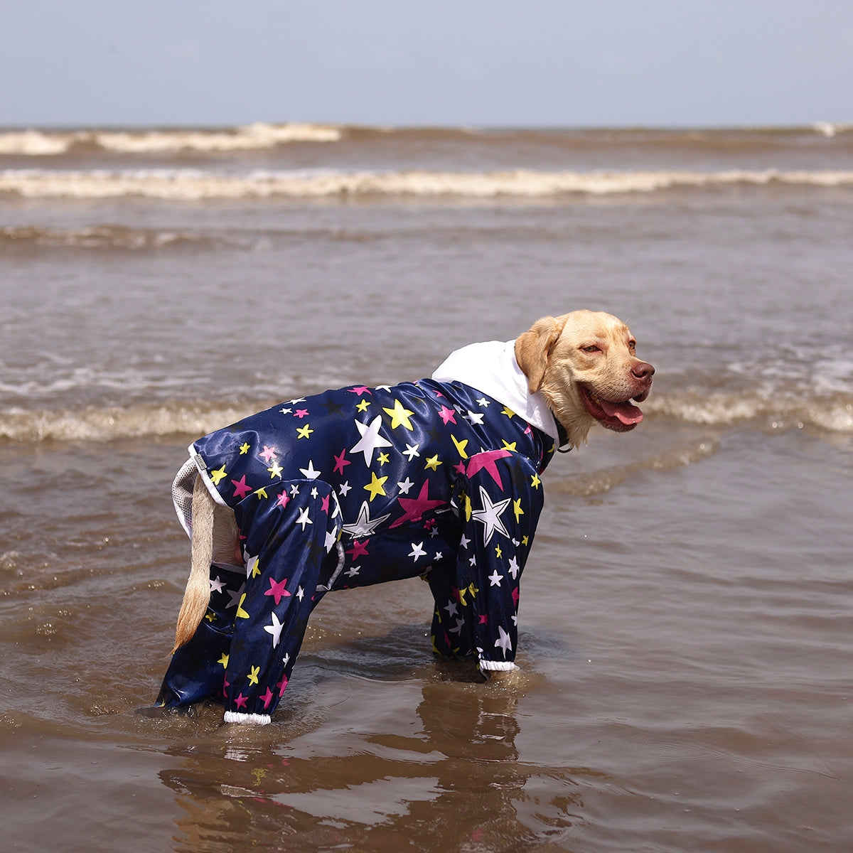 Multistar Rain-romper(Dog)