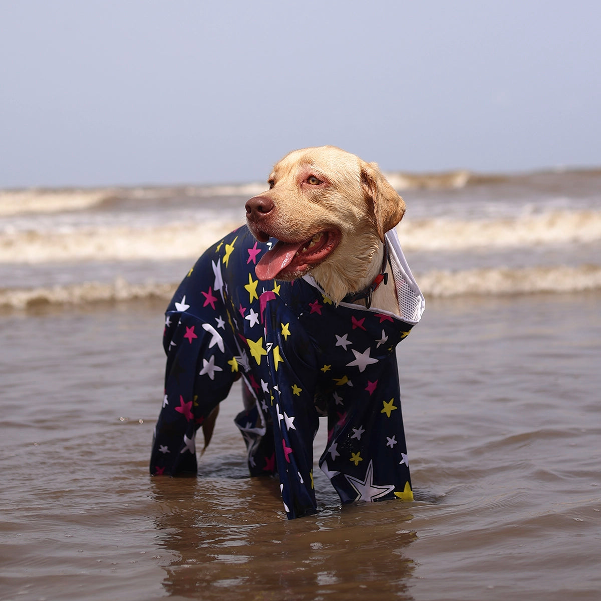 Multistar Rain-romper(Dog)
