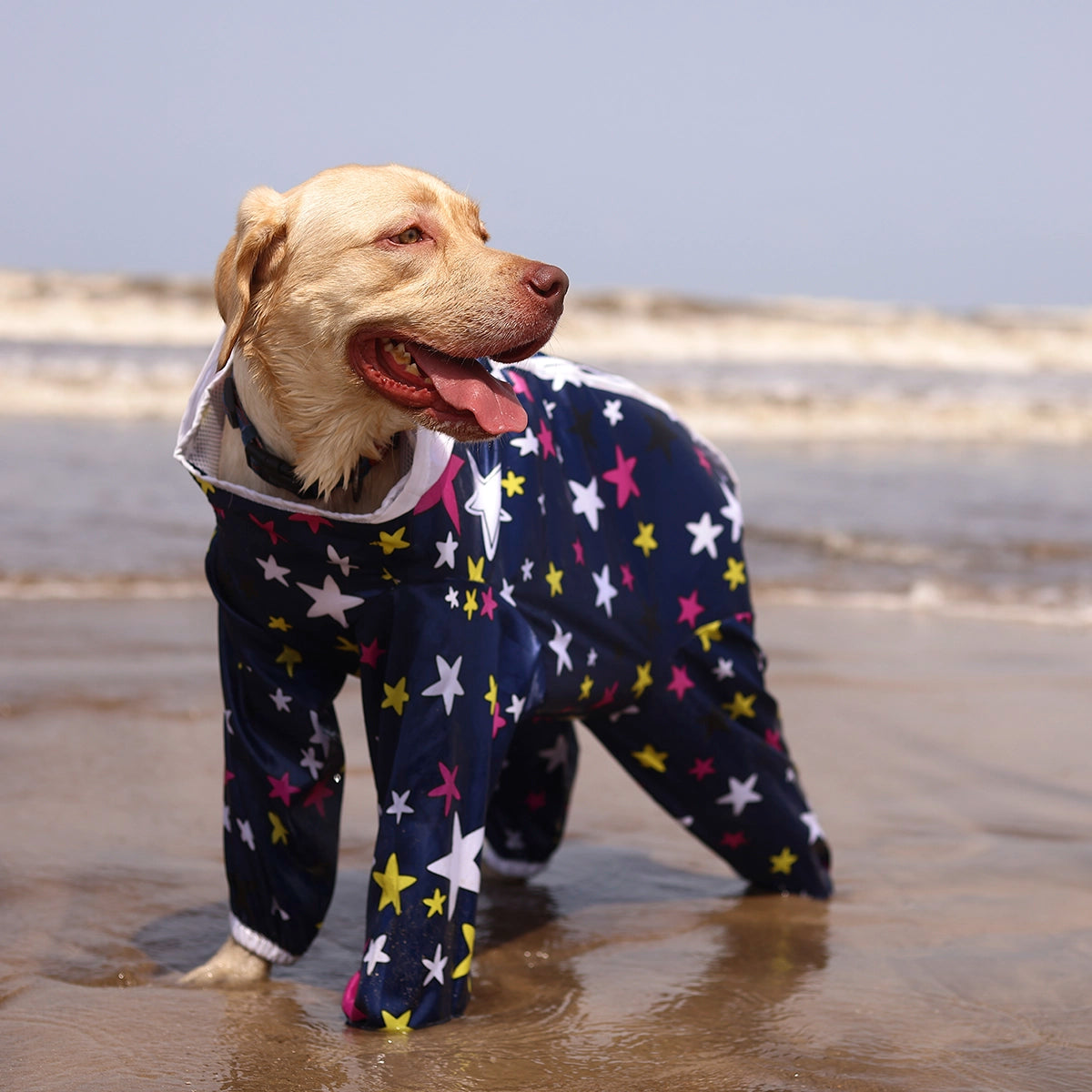 Multistar Rain-romper(Dog)