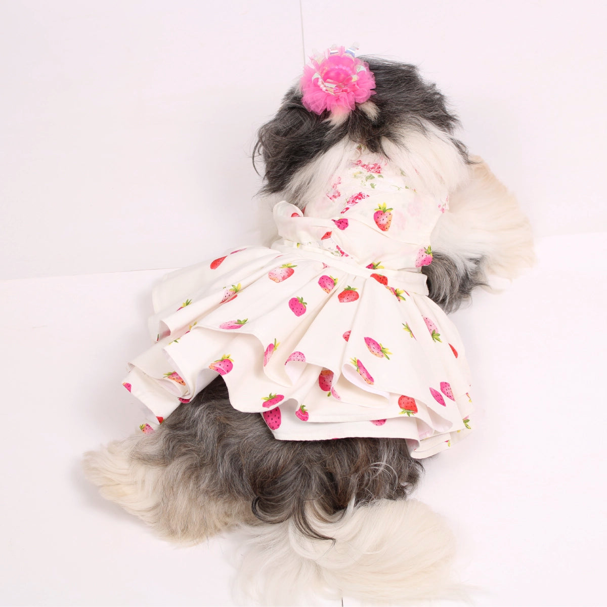 Strawberry Love (Dog)