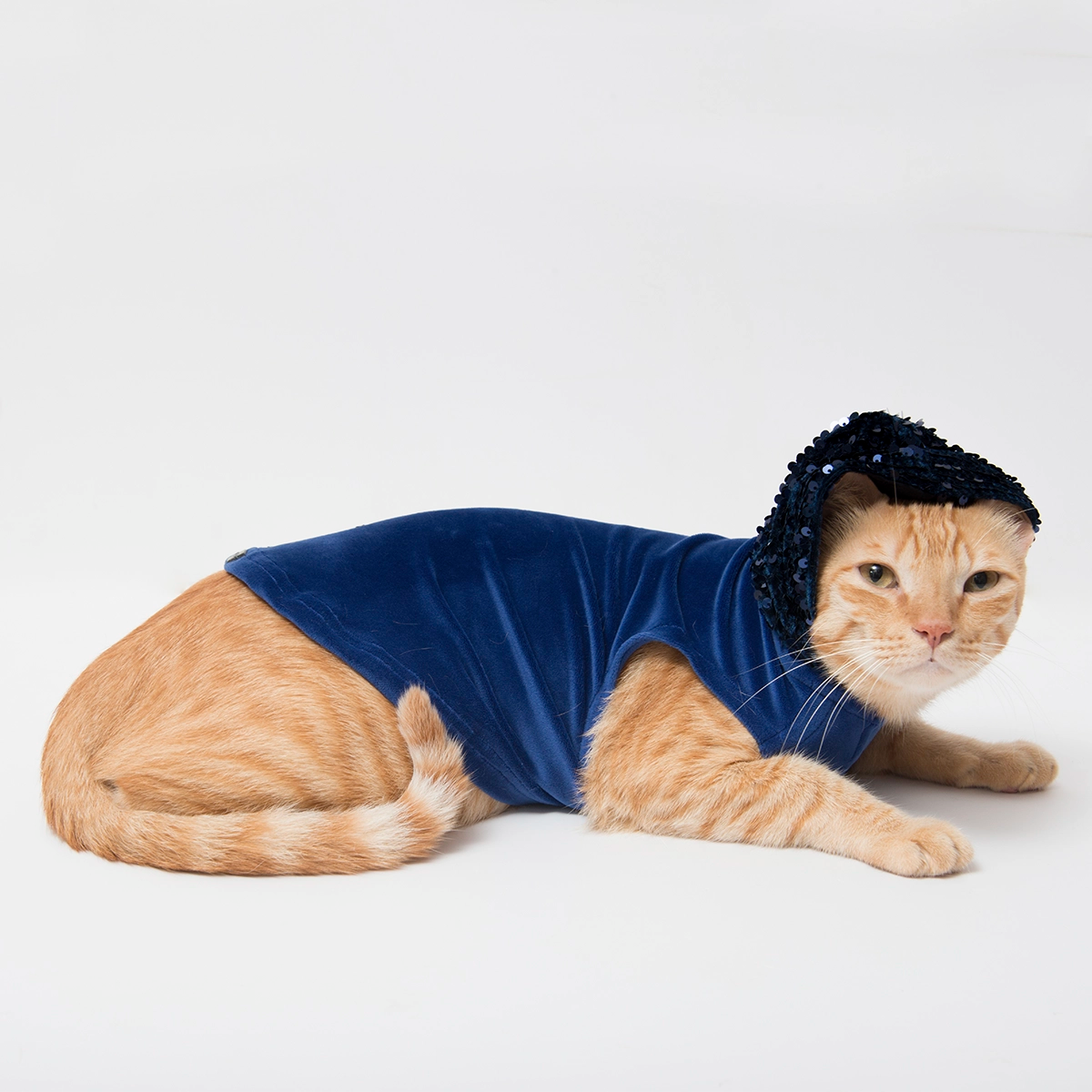 Street Creed Navy Blue