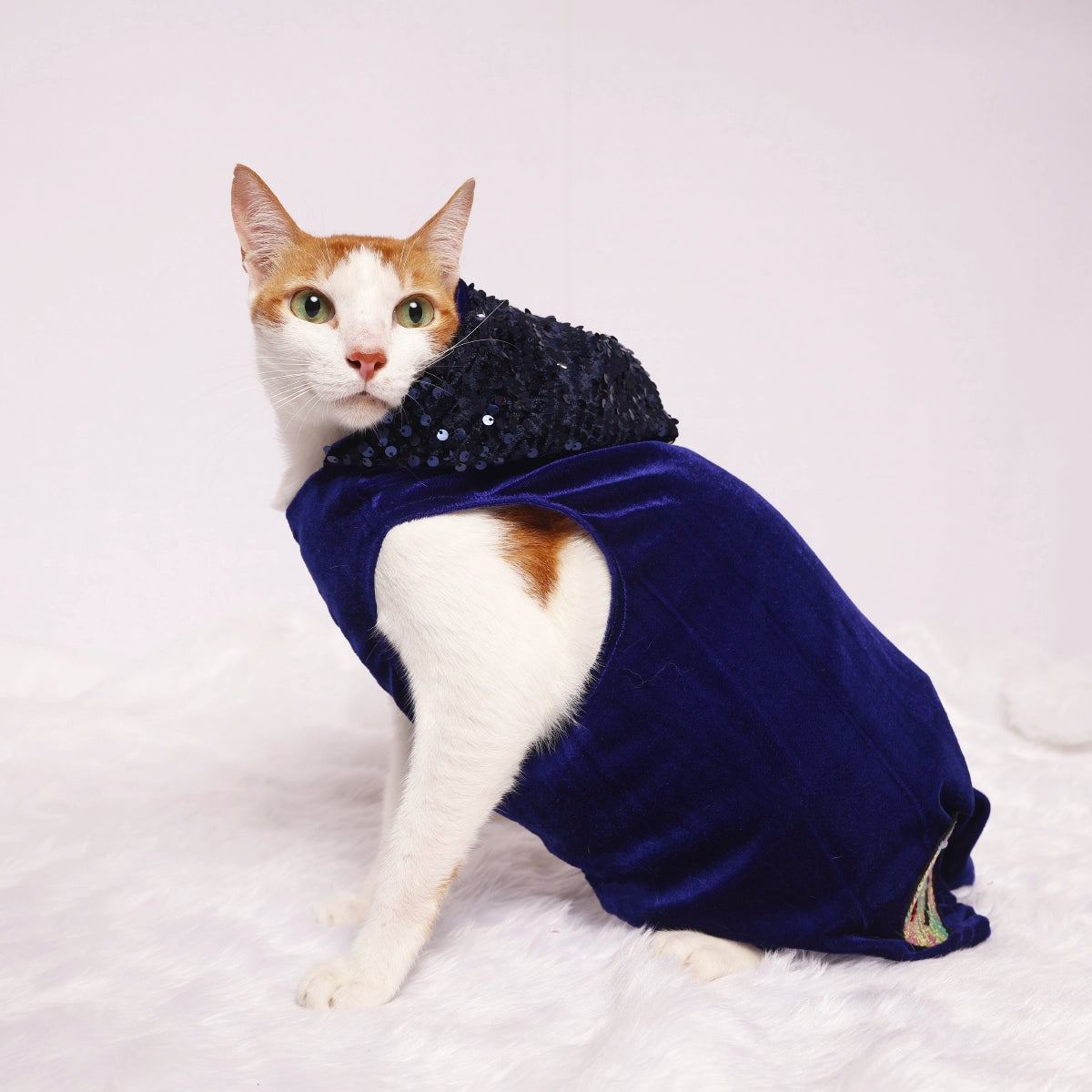 Street Creed Navy Blue