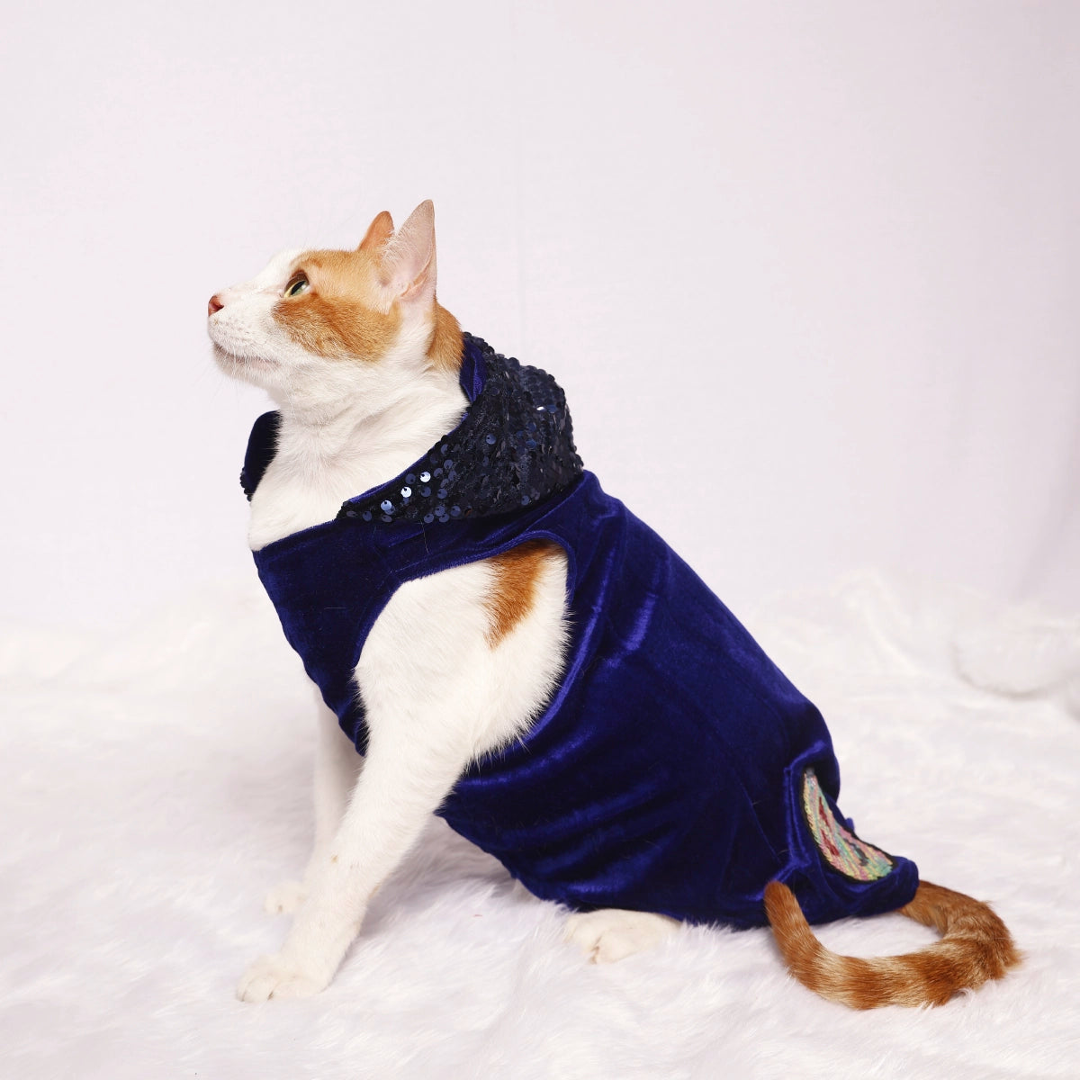 Street Creed Navy Blue