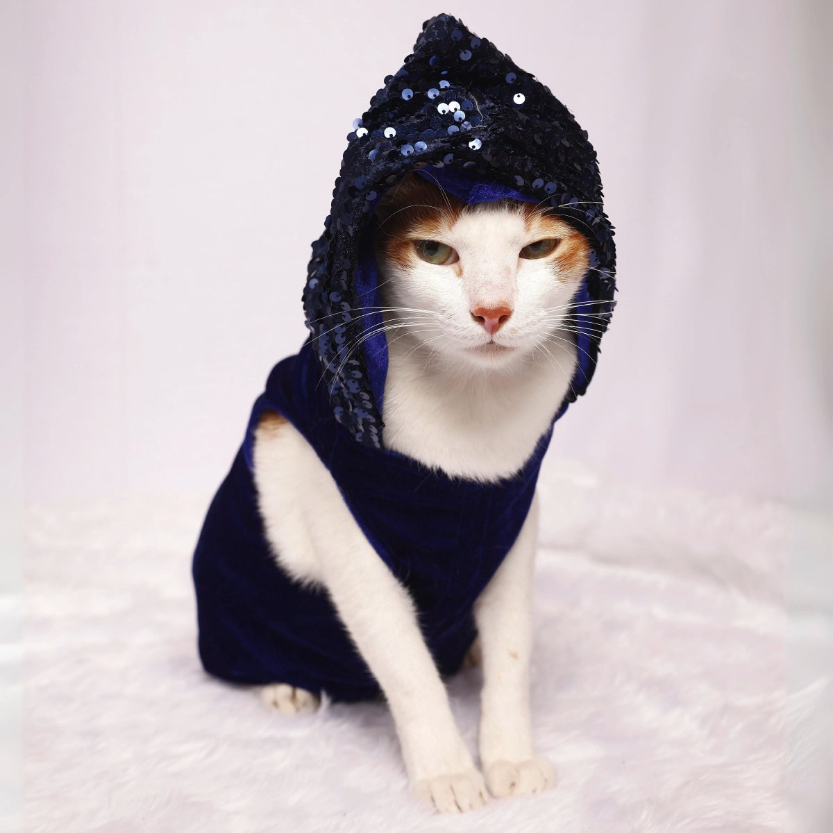 Street Creed Navy Blue